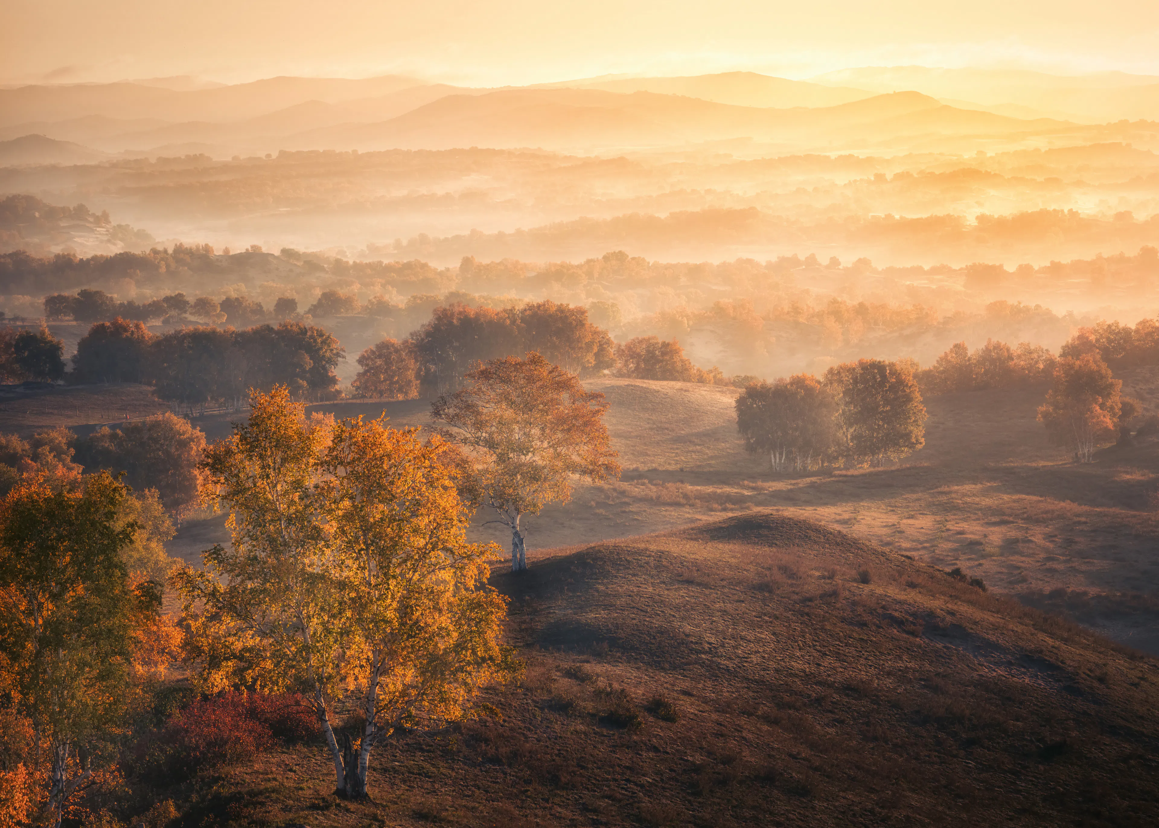 Autumn Sunrise Poster 0