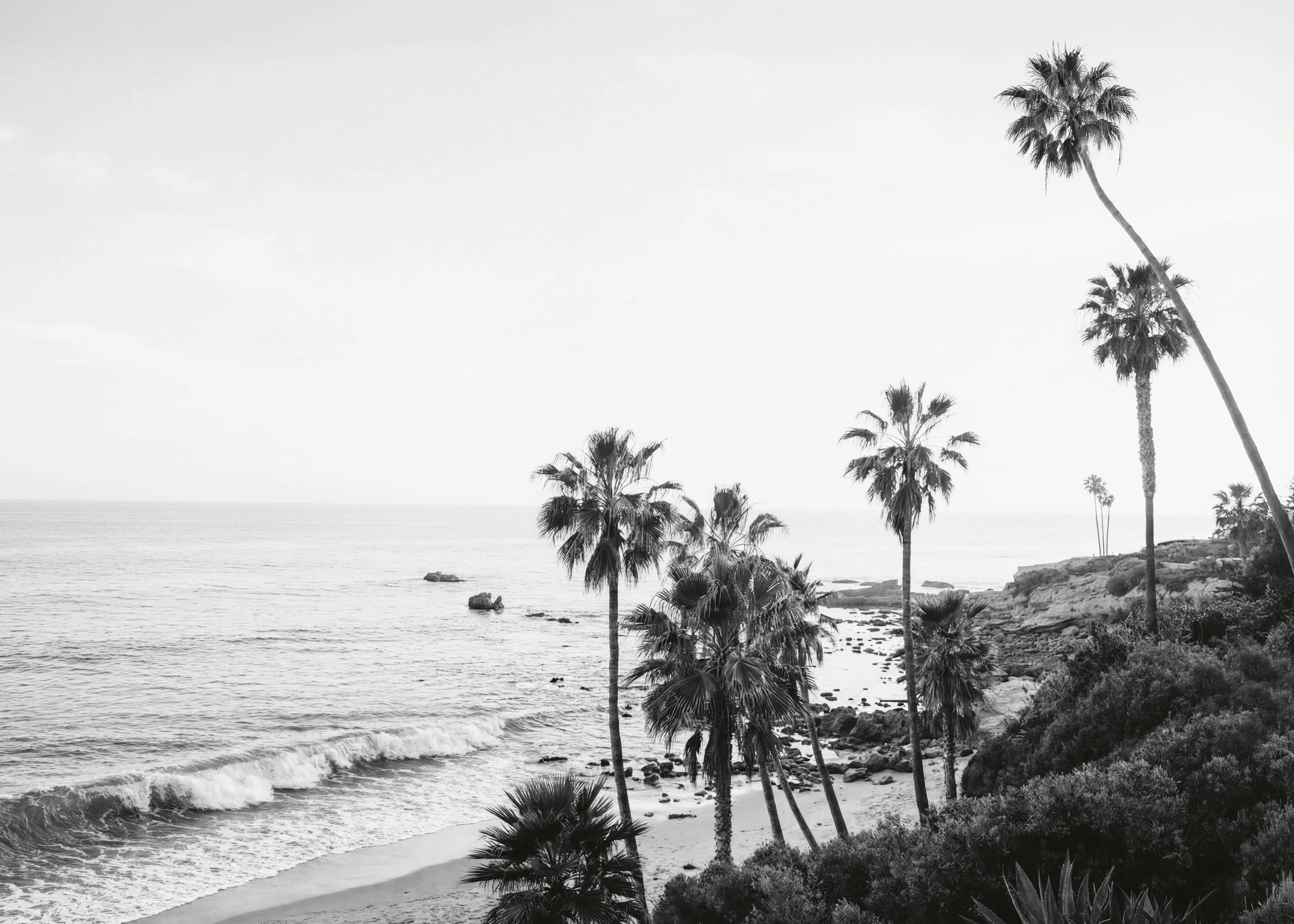 Black Coastal Serenity Poster 0