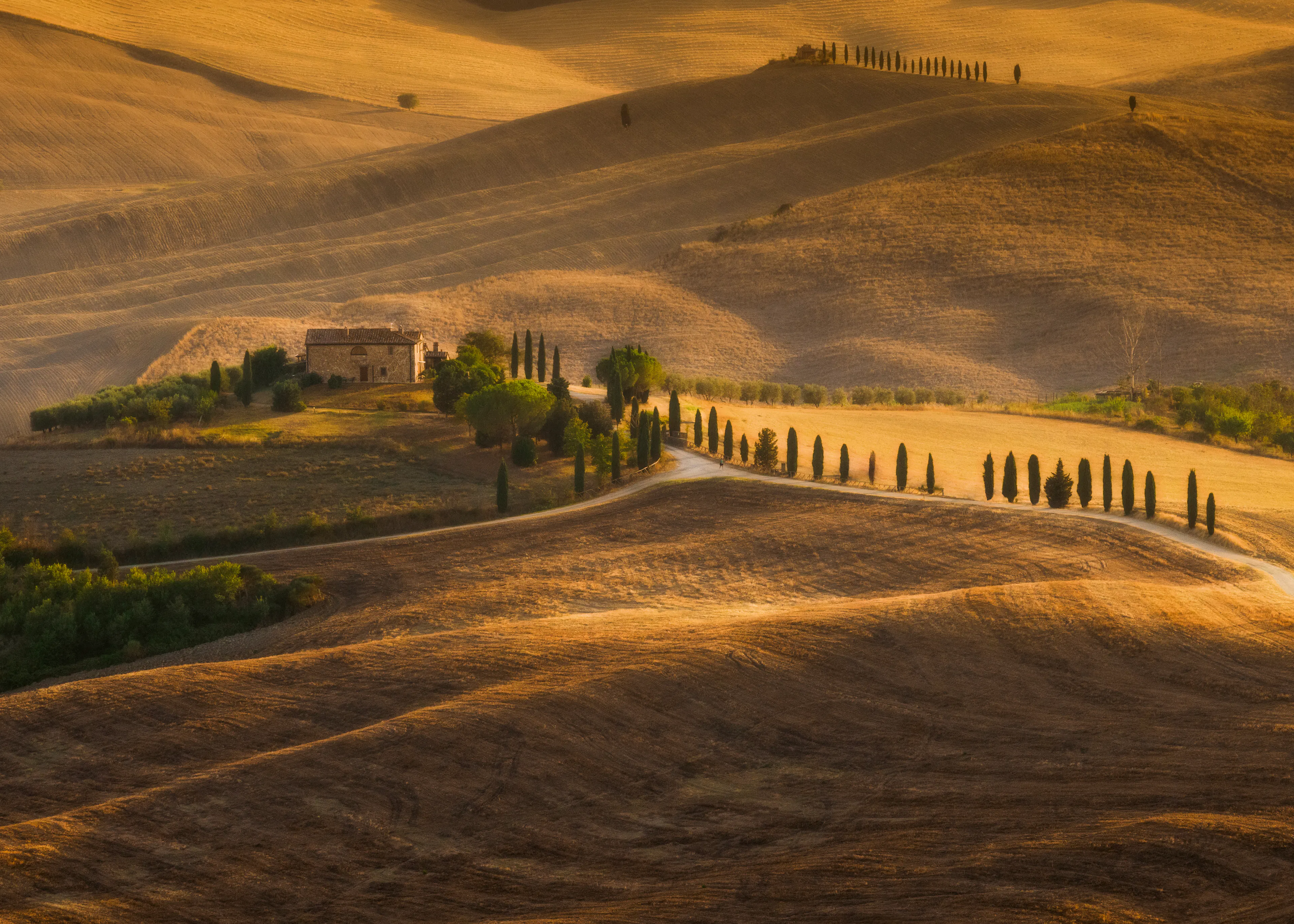 Golden Hills Poster 0