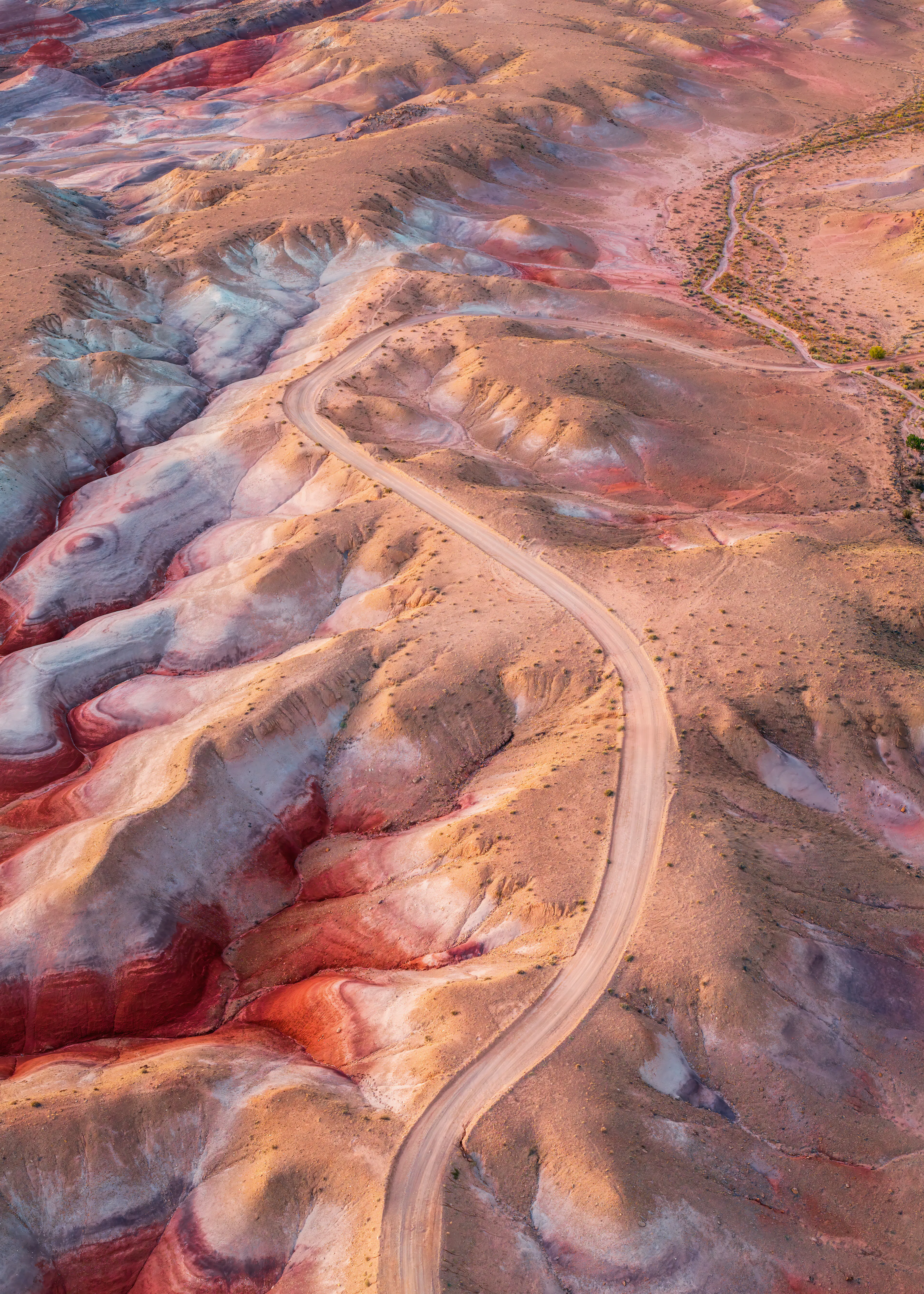 Colorful Desert Poster 0
