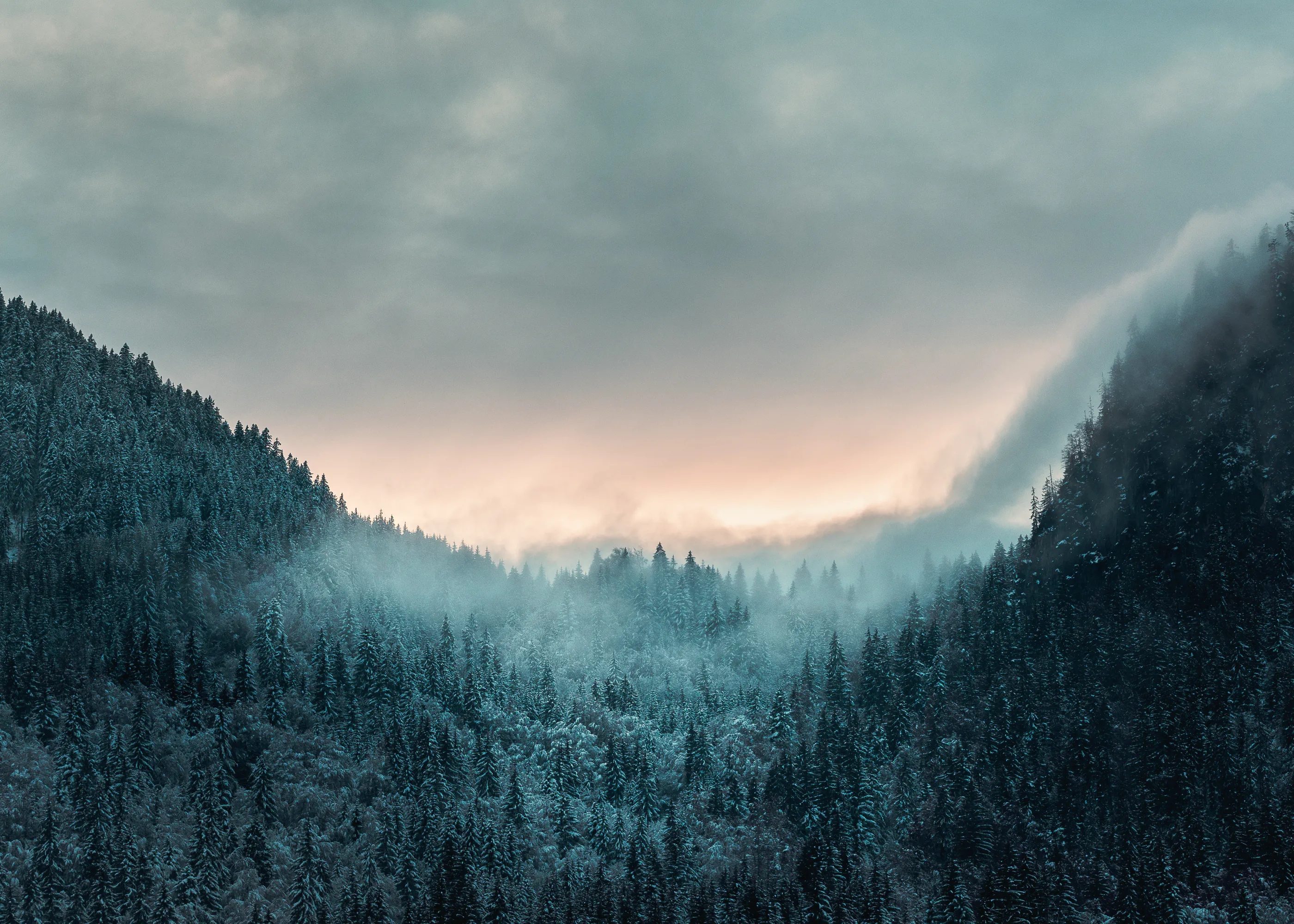 Misty Mountain Poster 0