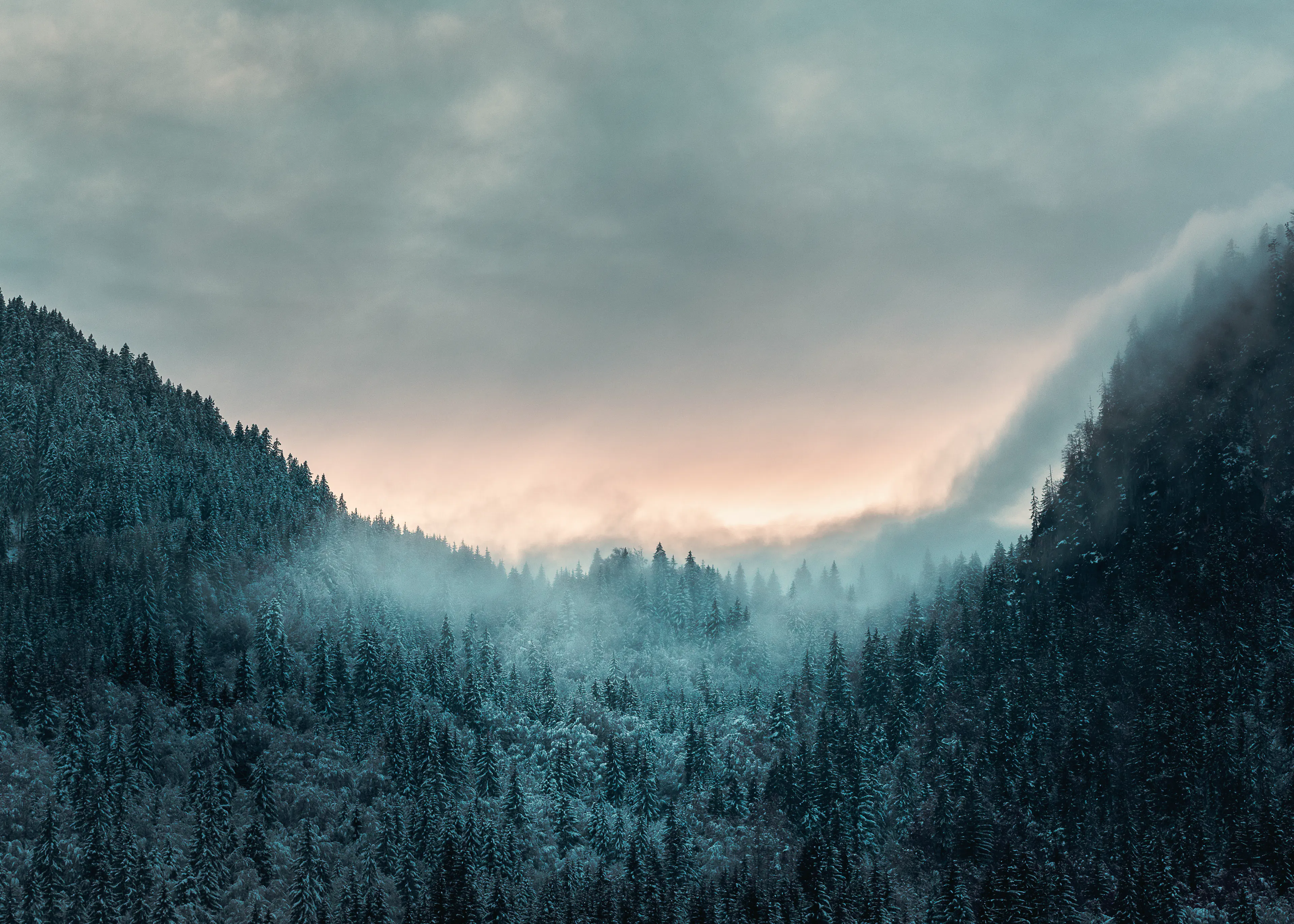 Misty Mountain Poster 0