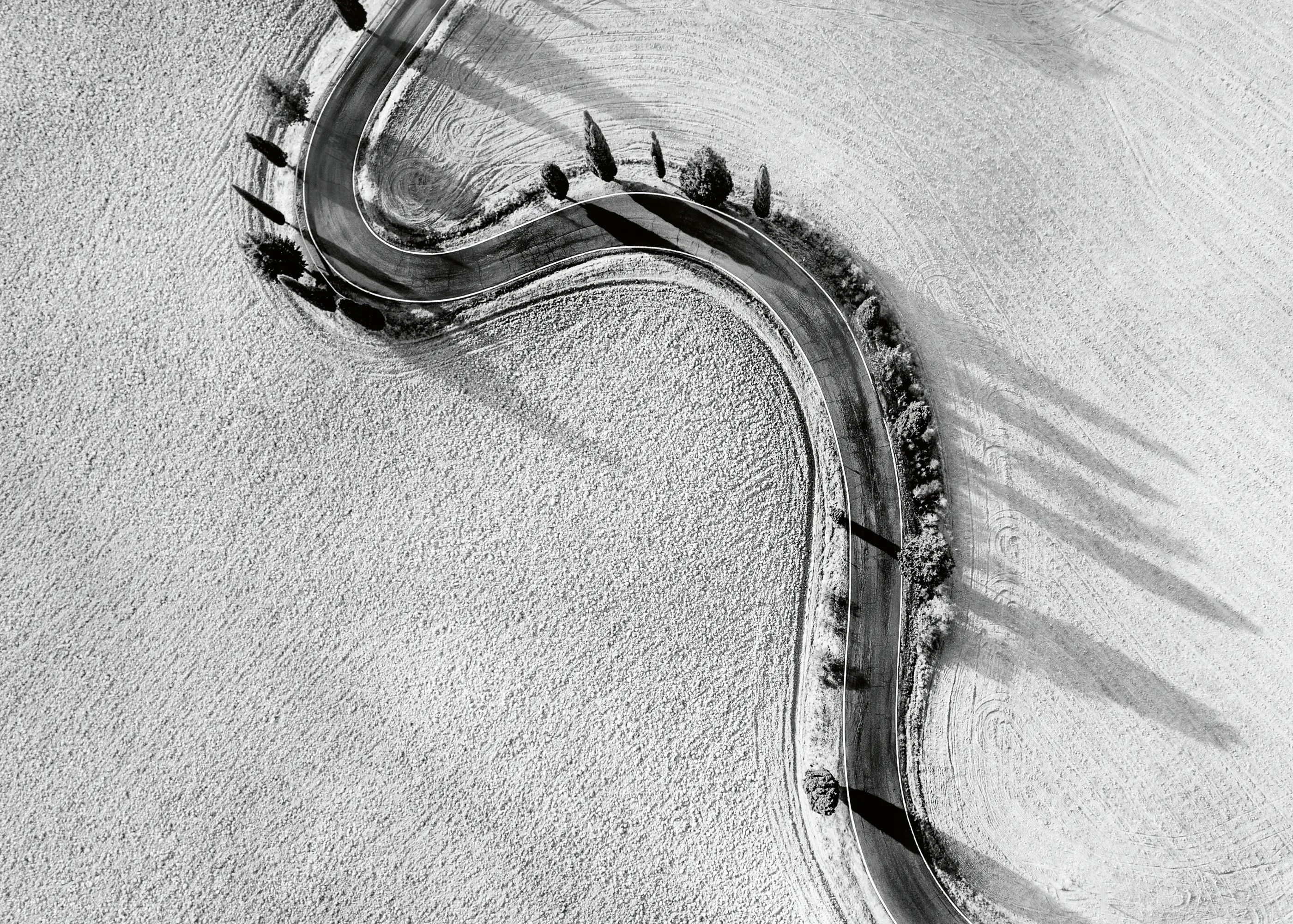 White Serene Beach Poster 0