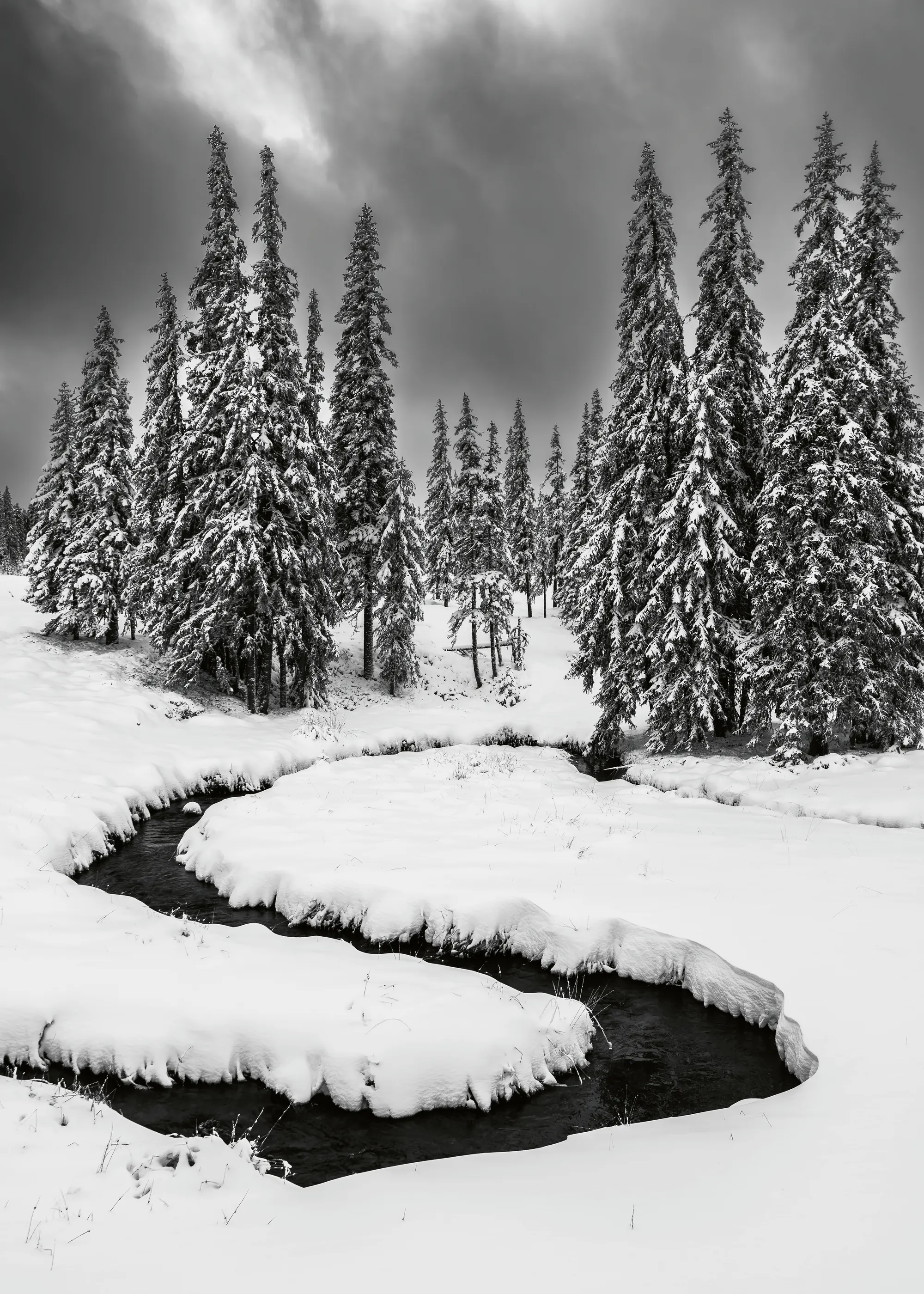 Schwarze Winterstille Poster 0