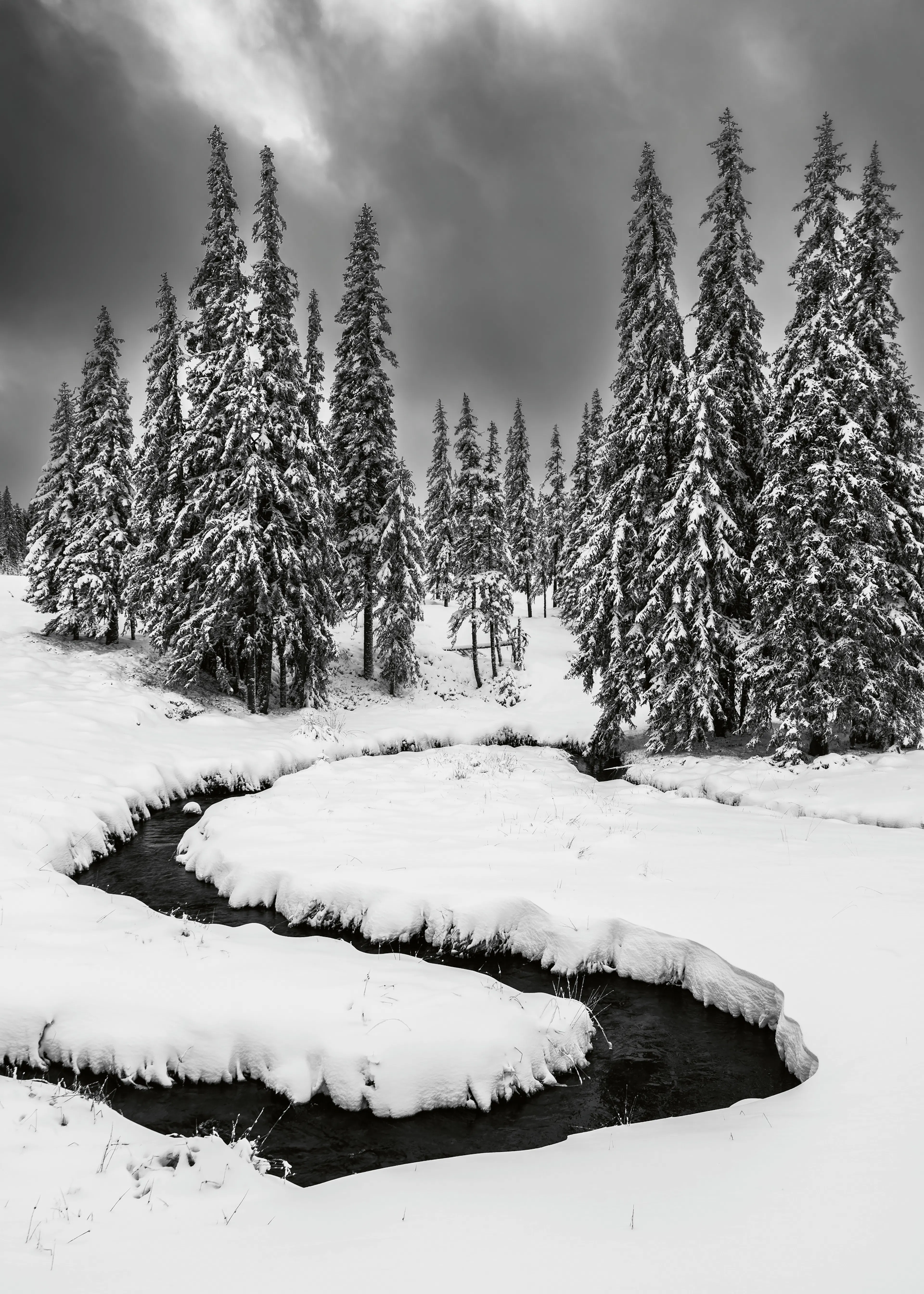 Black Winter Serenity Poster 0
