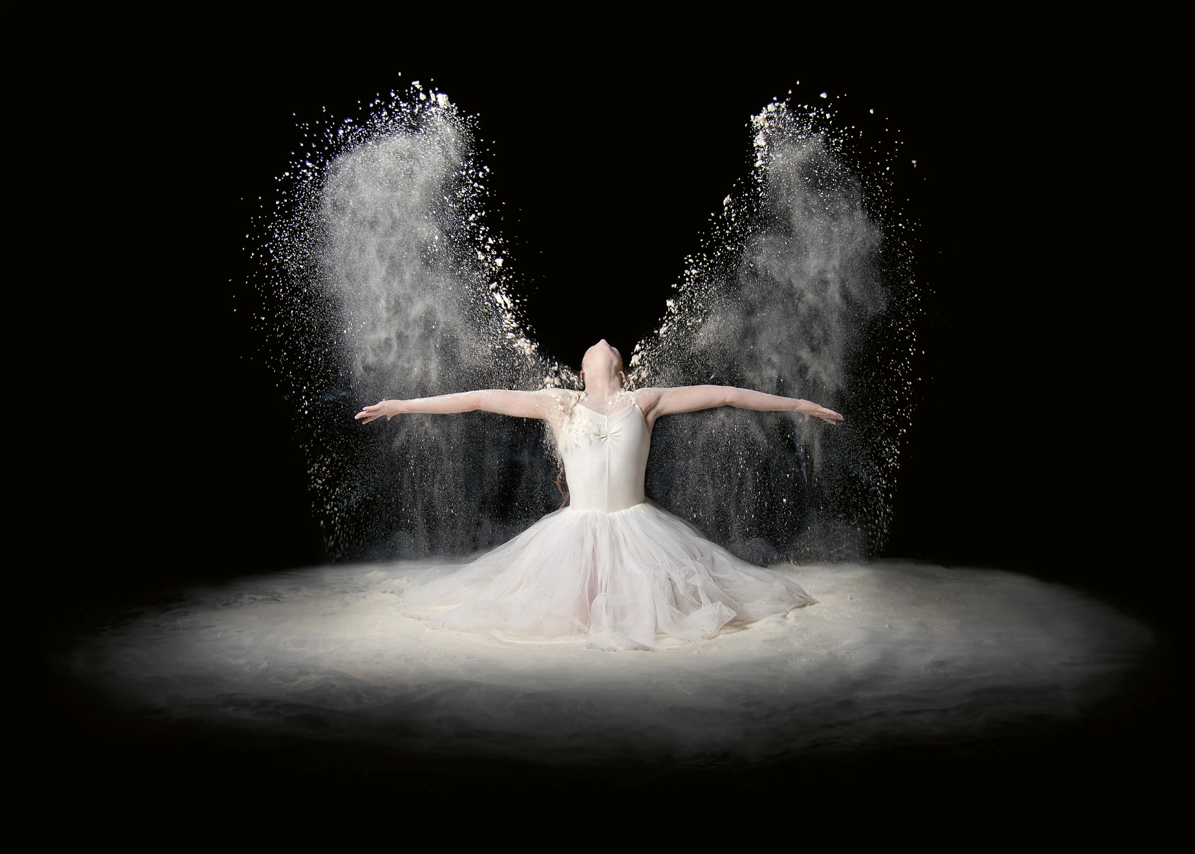 Wit Etherisch Ballet Poster 0