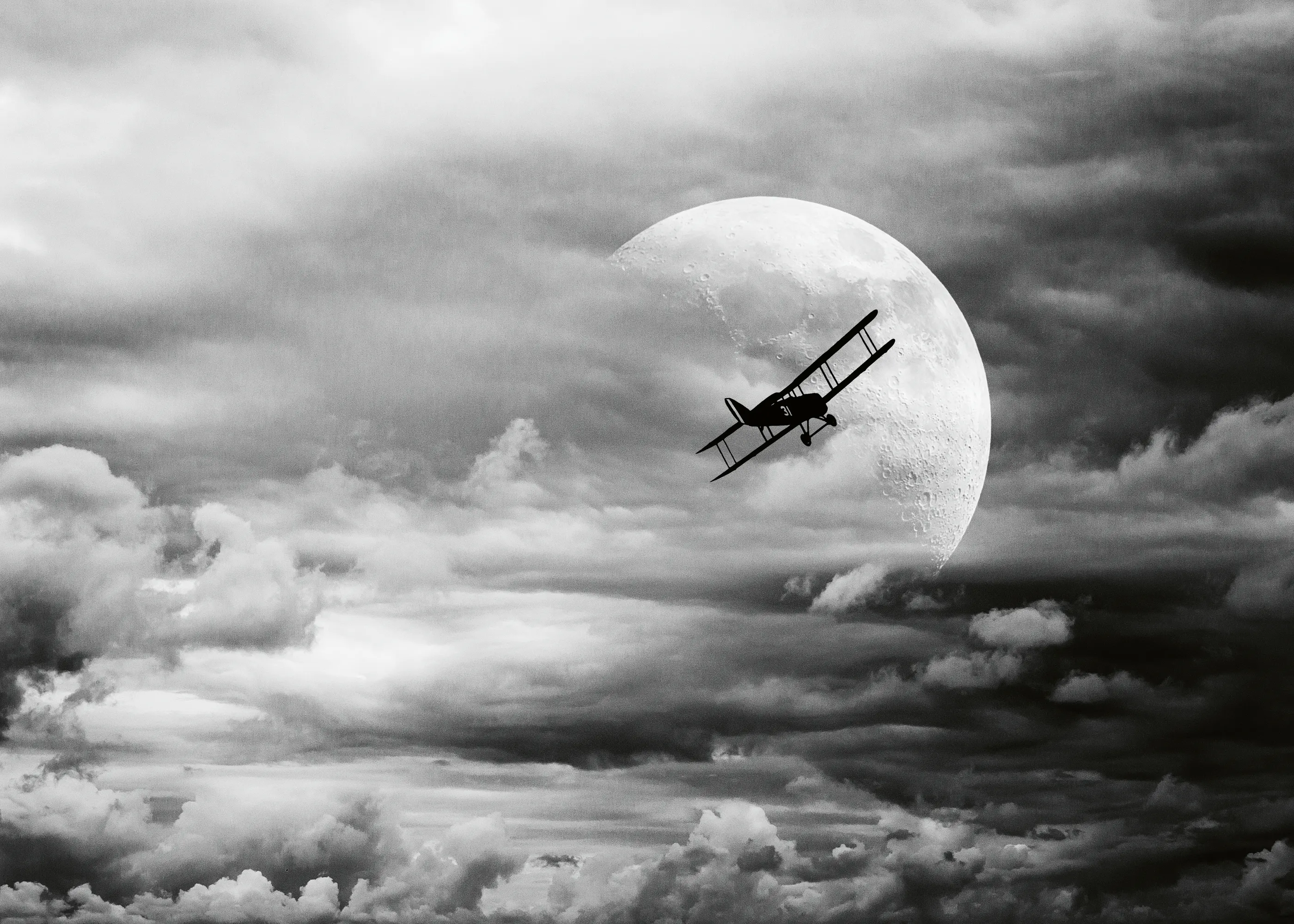 Moon Flight Poster 0