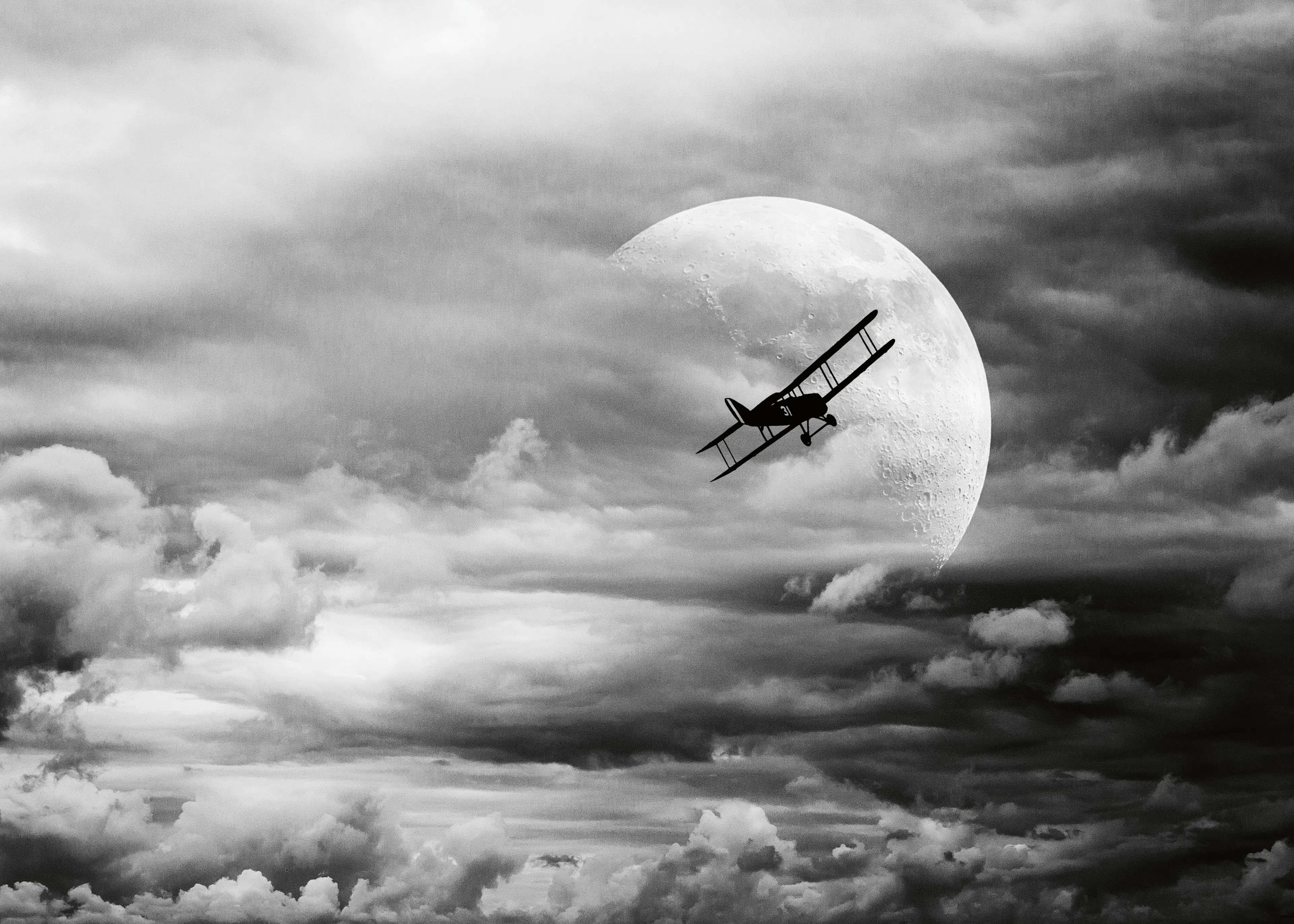 Mondflug Poster 0