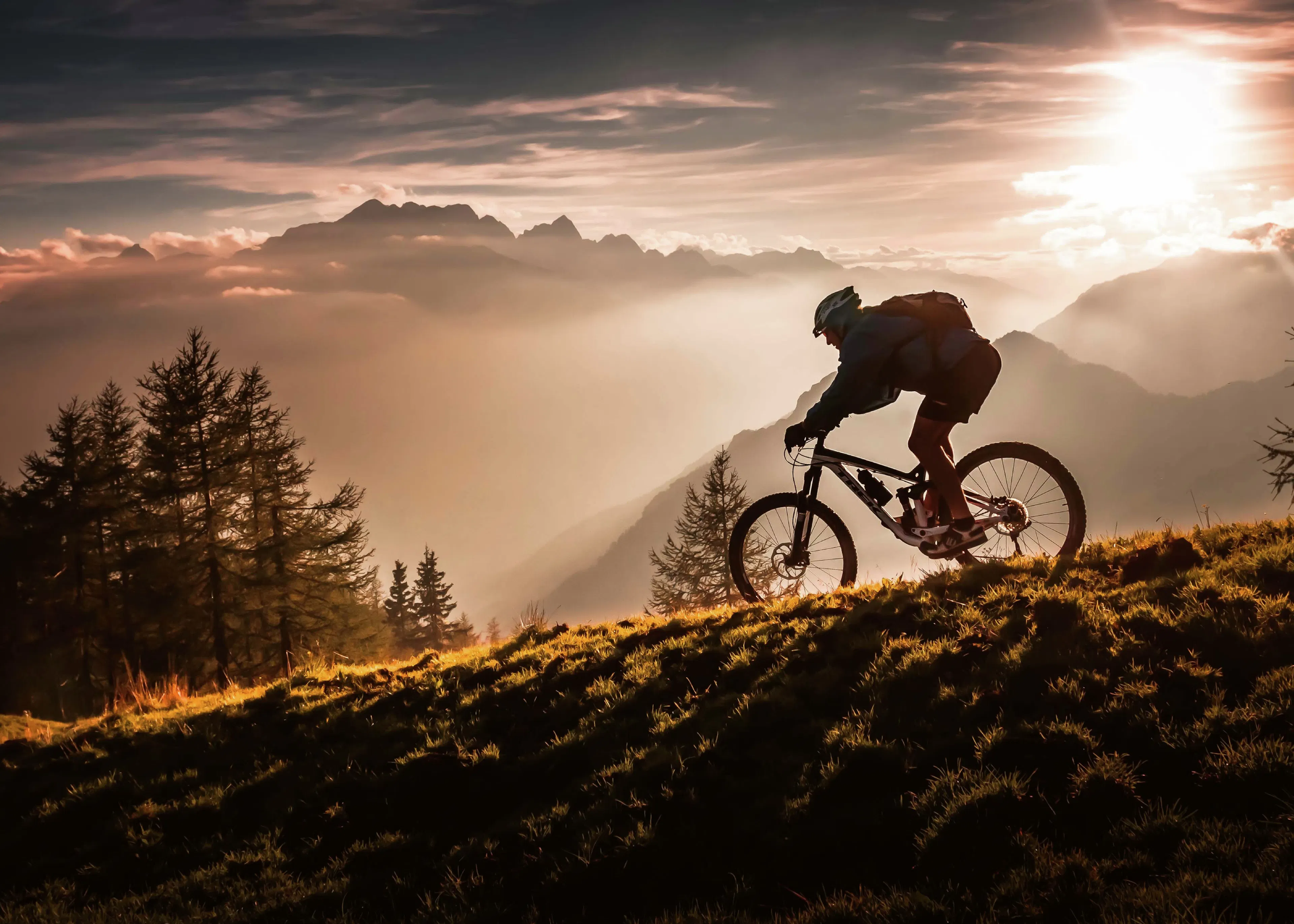 Mountain Biking Dorato Poster 0