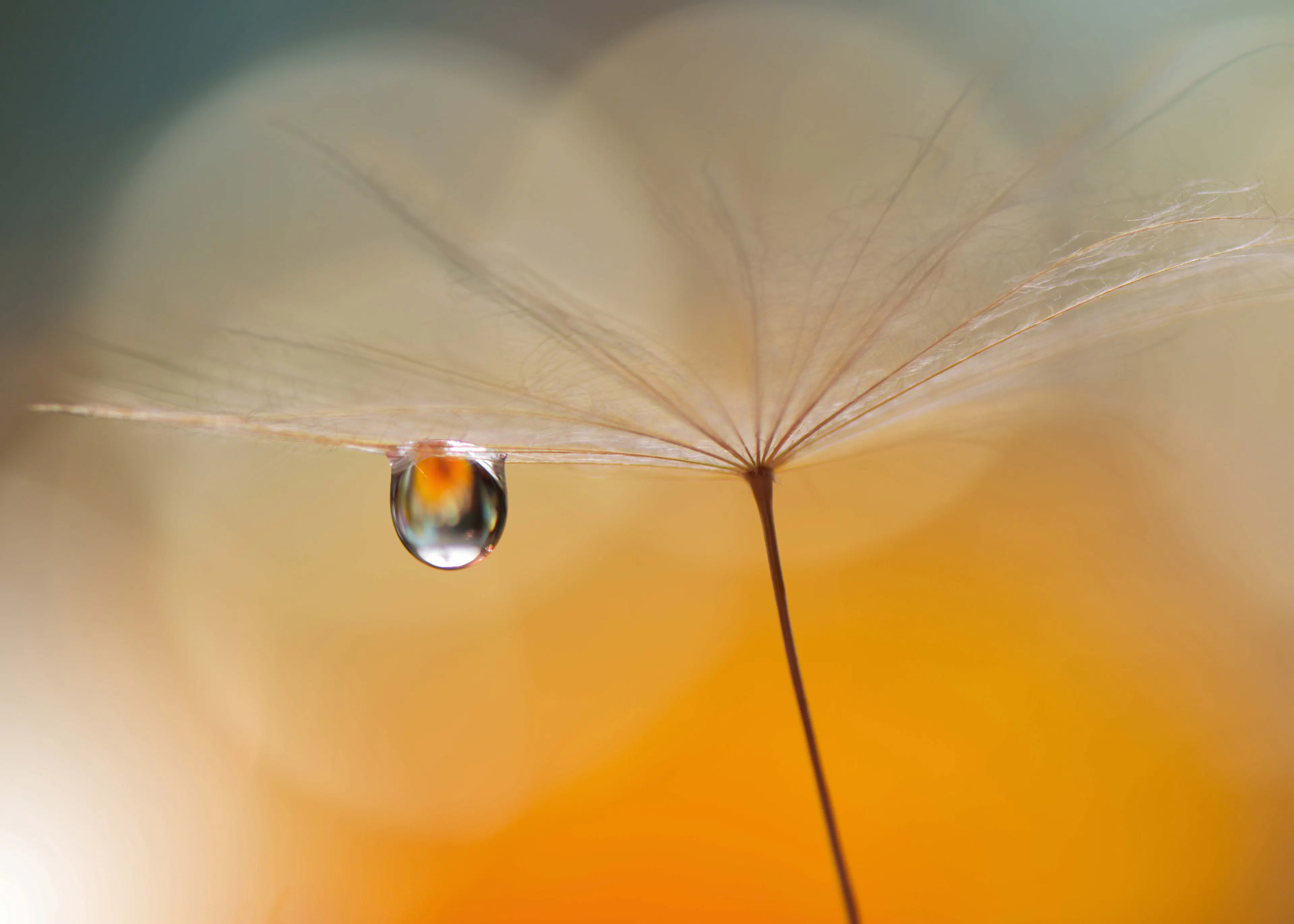Delicate Balance Poster 0
