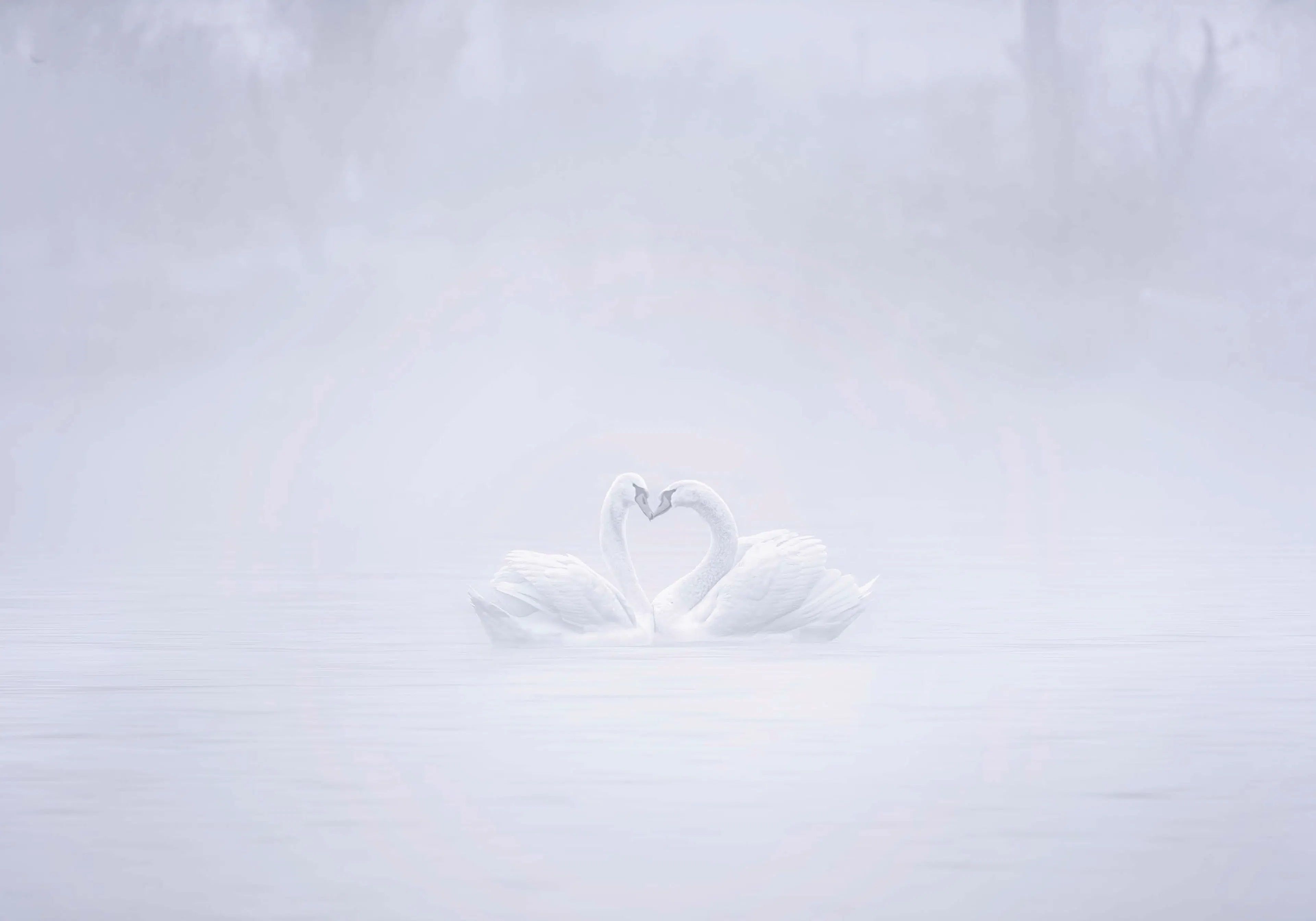 Product image: 1