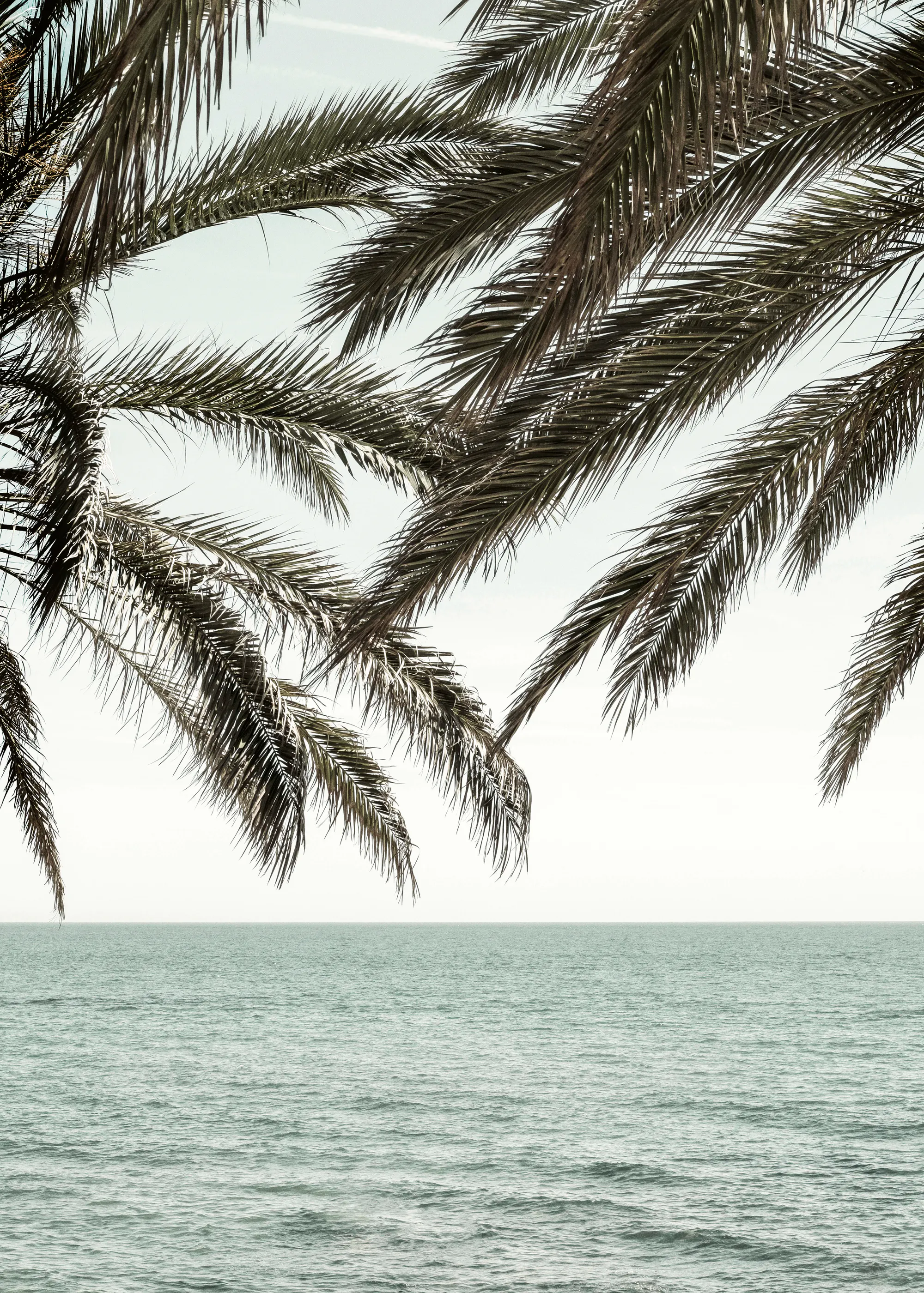 Brise Tropicale Bleue Poster 0