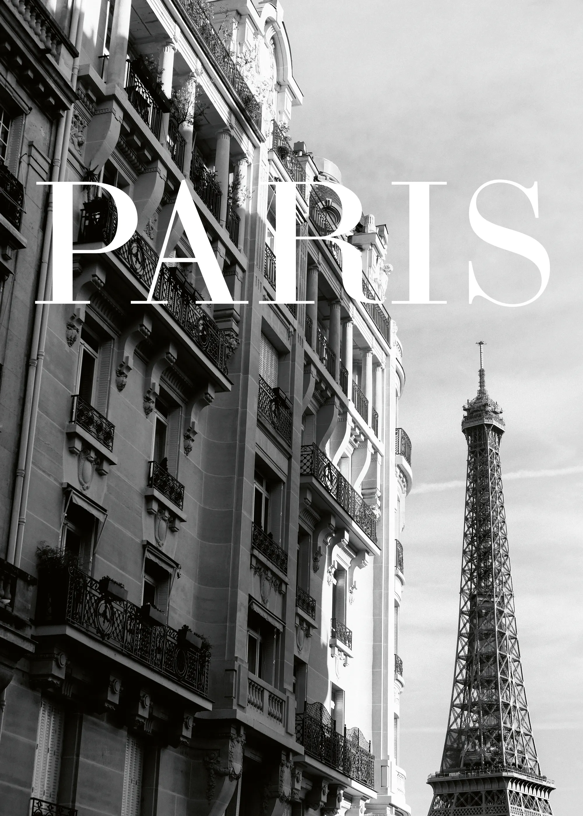 Black Paris Charm Poster 0