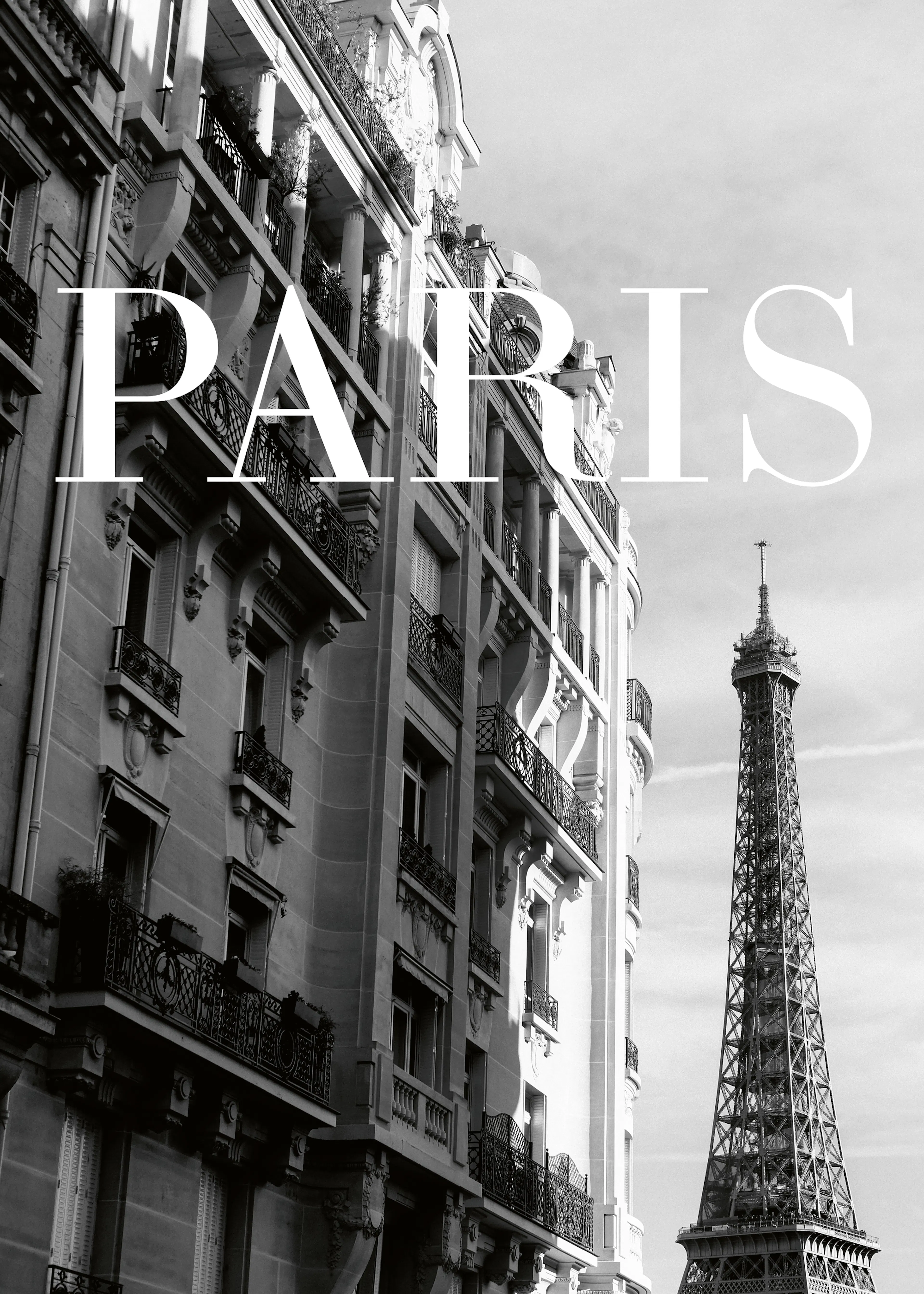 Black Paris Charm Poster 0