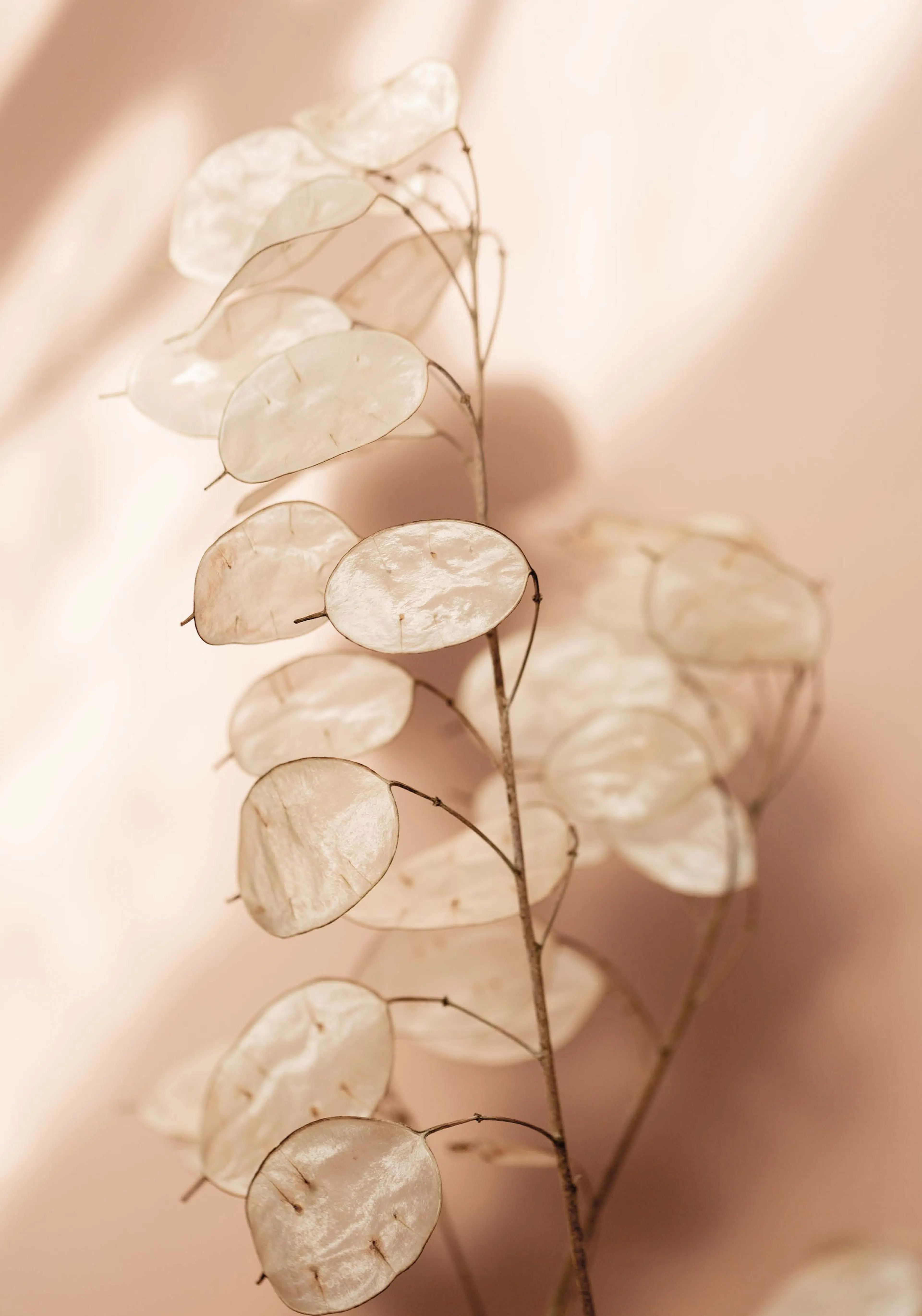 Product image: 1