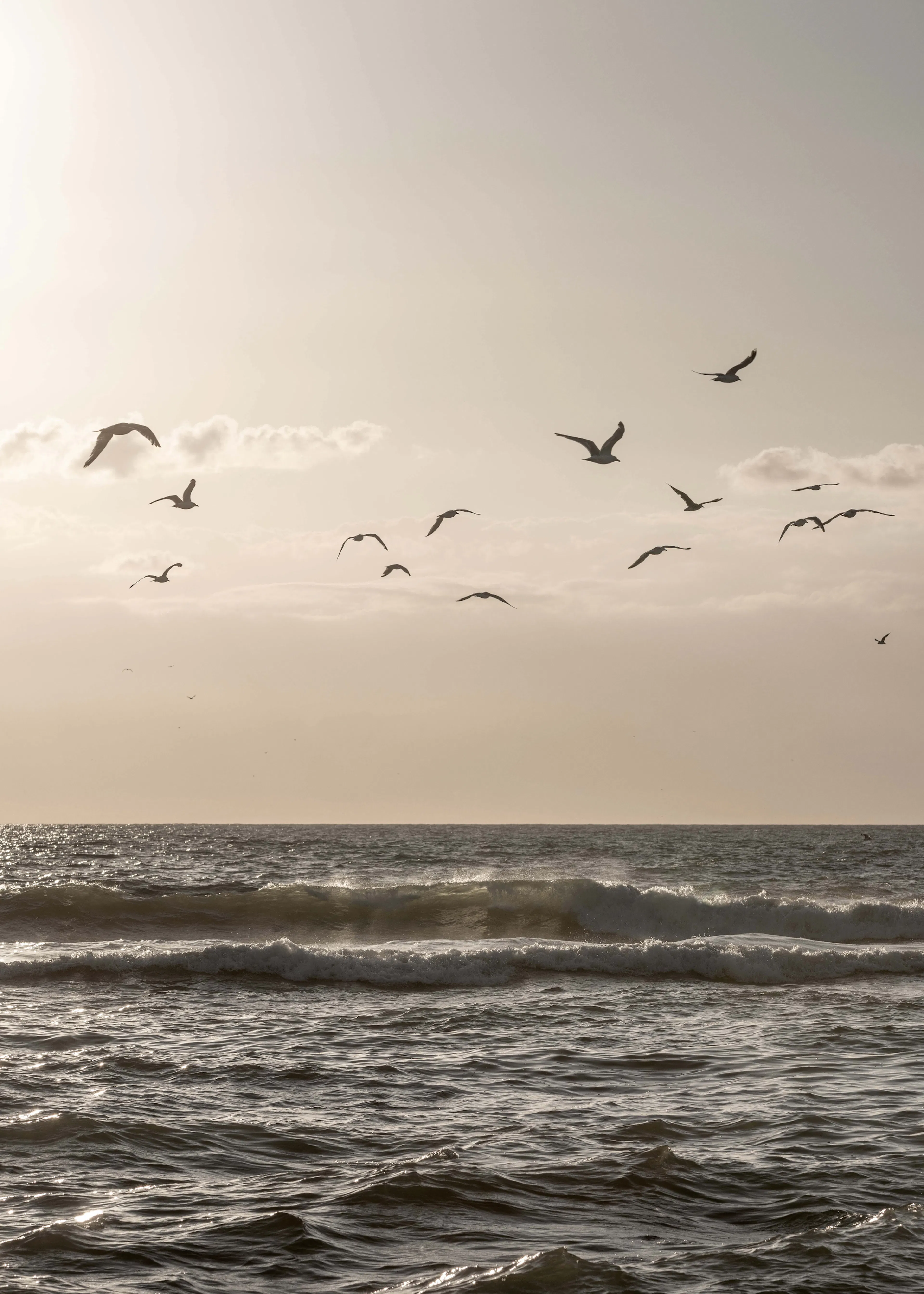 Seaside Flight Poster 0