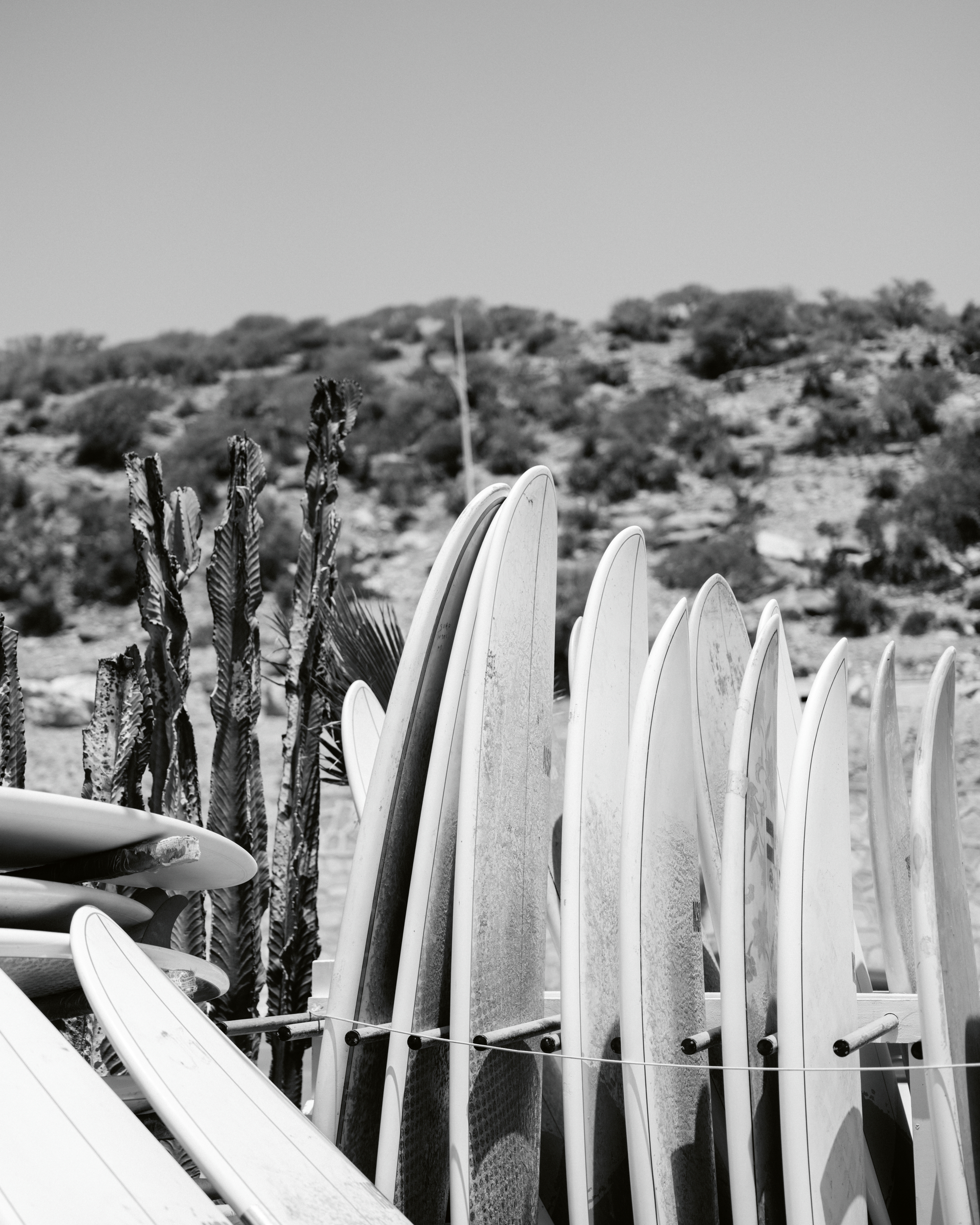 Surfboard Lineup Poster