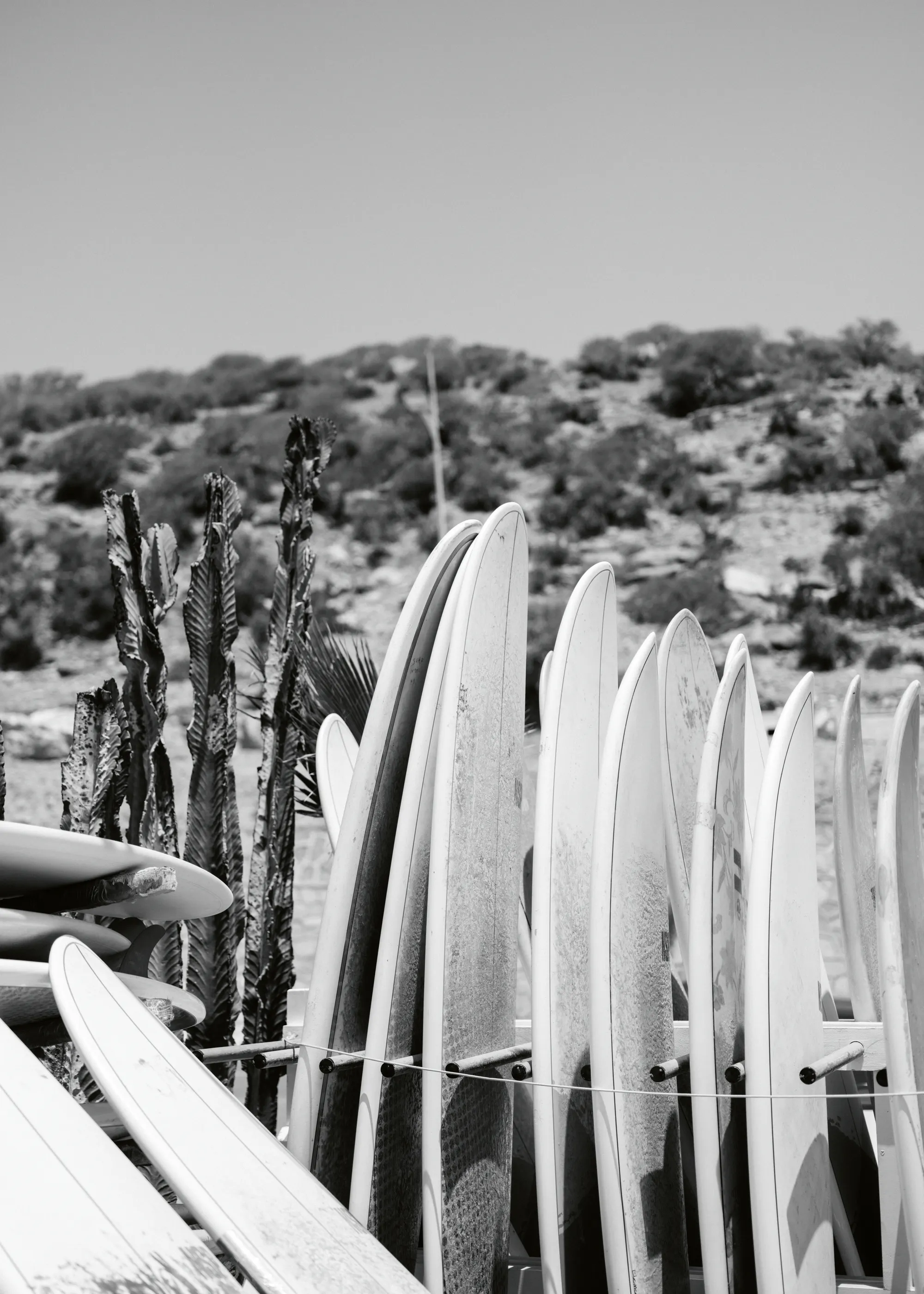 Surfboard Lineup Poster 0