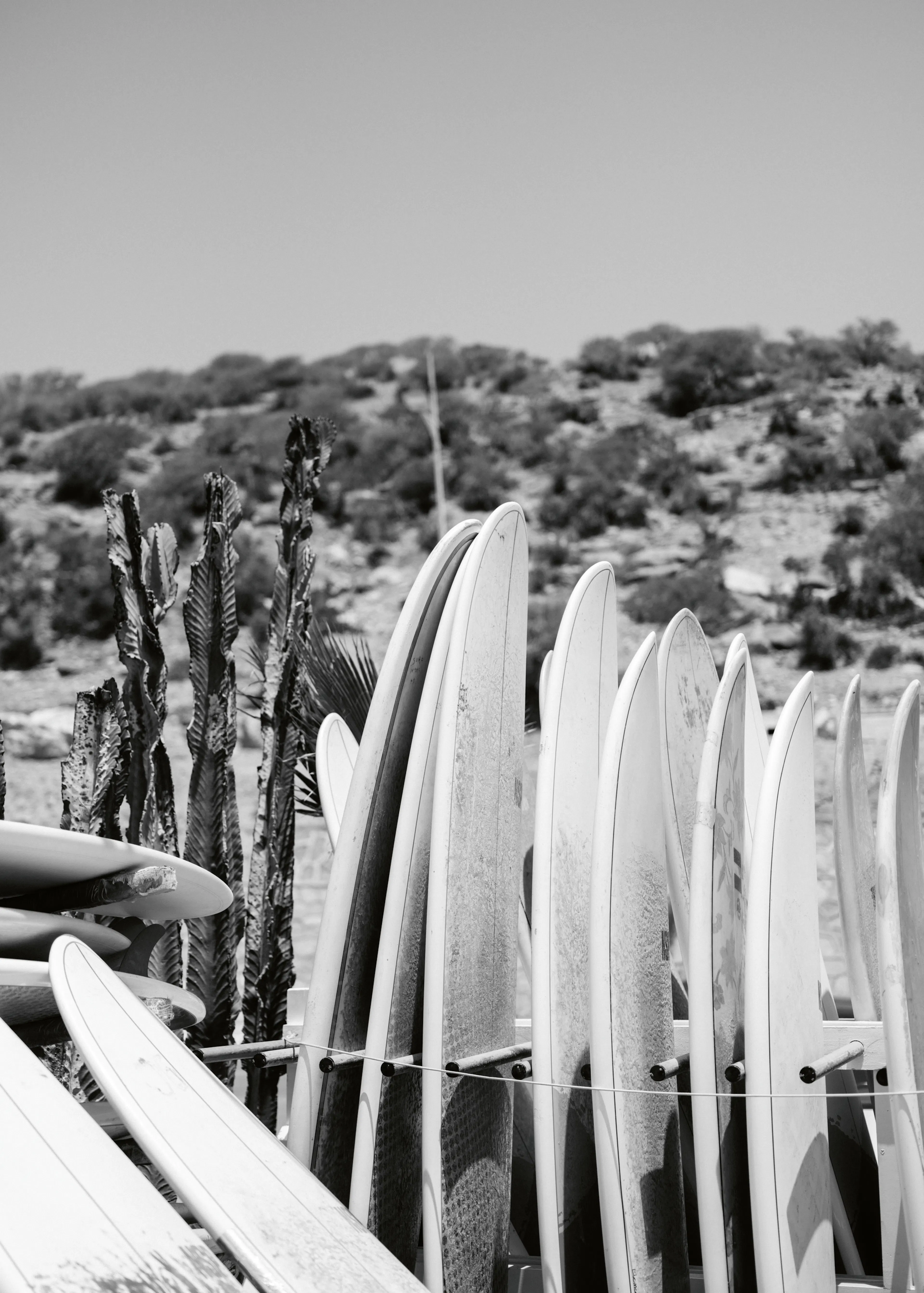 Surfboard Lineup Poster 0
