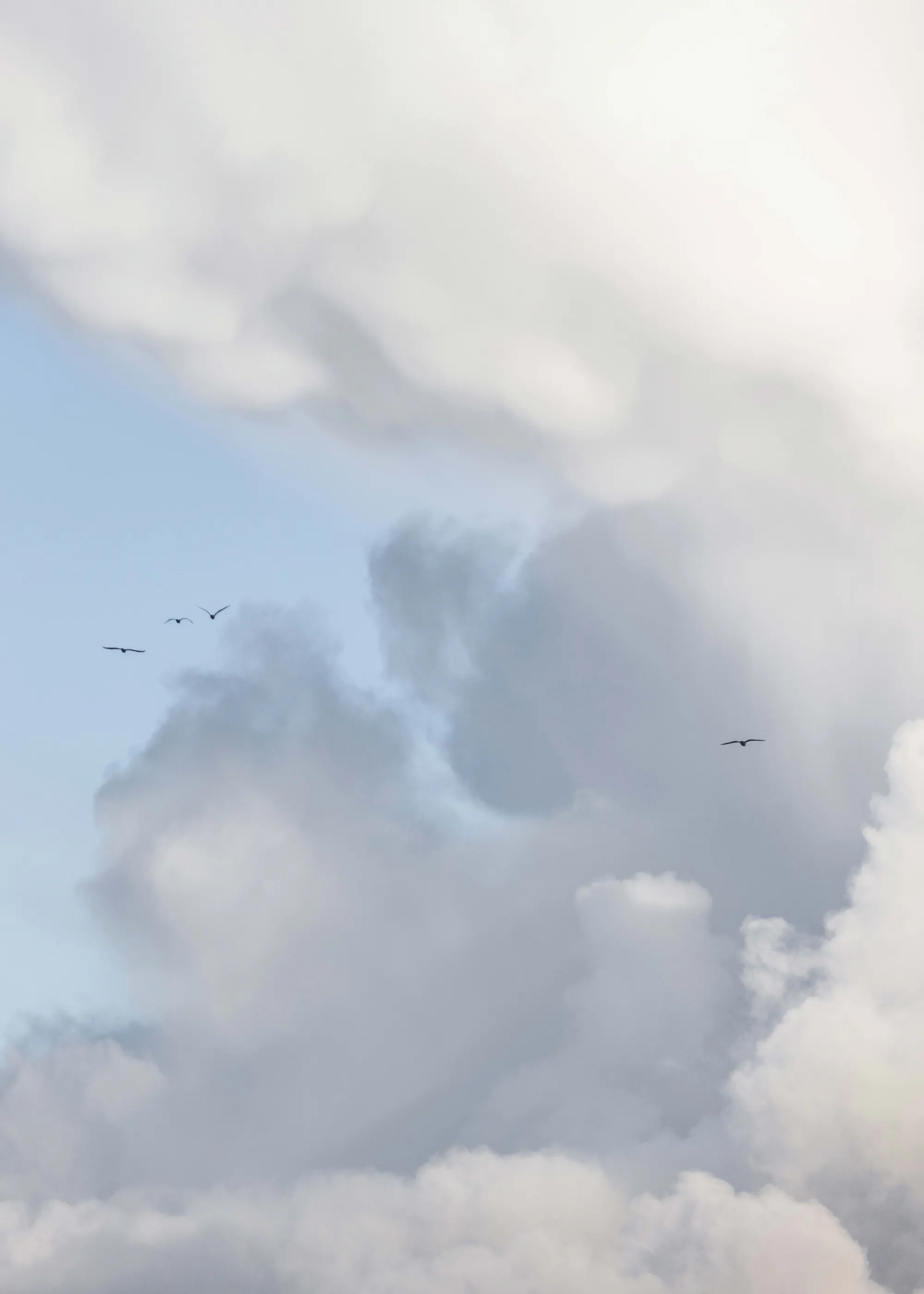 Blå Fridfull Himmel Poster 0