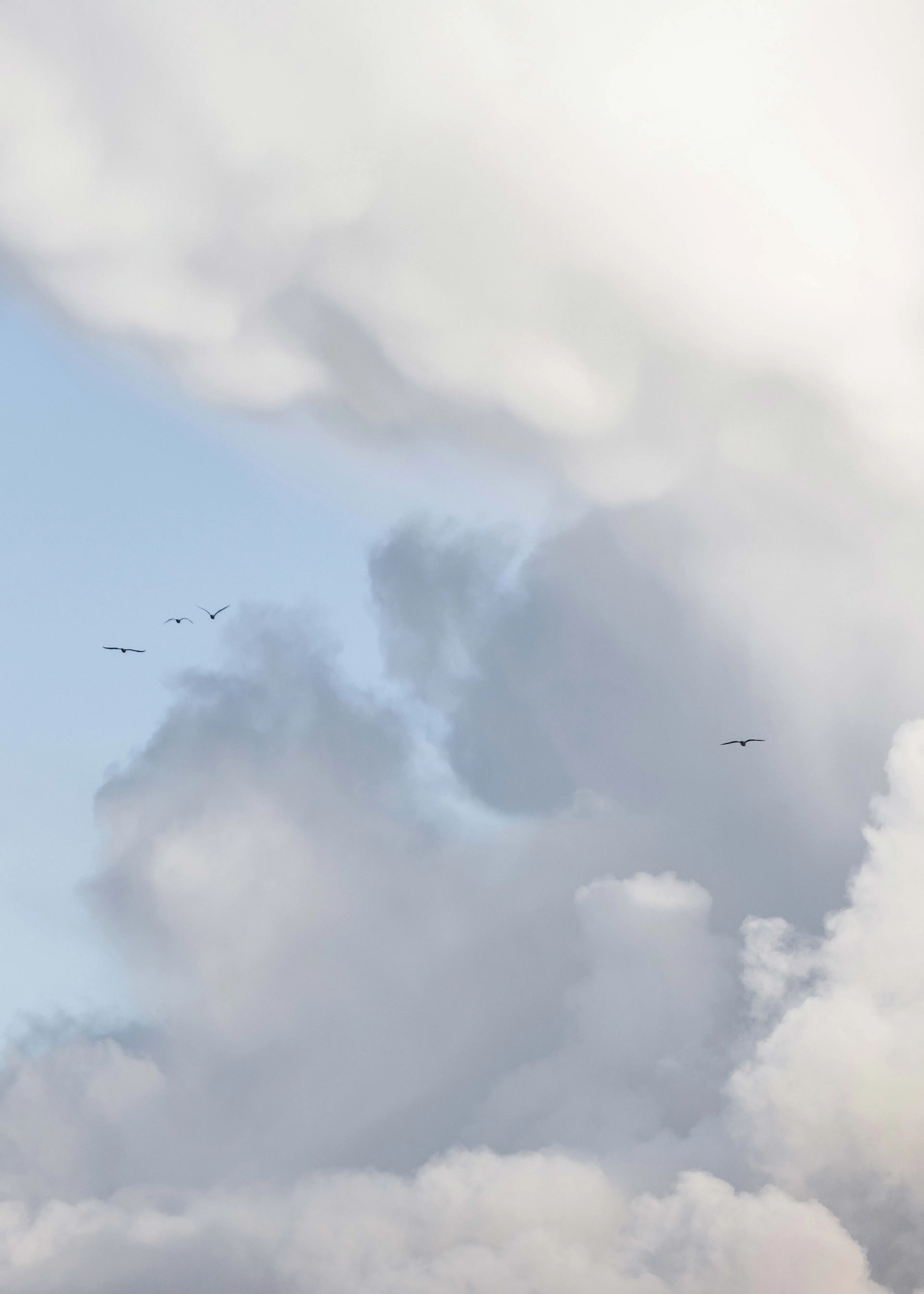 Blauwe Serene Lucht Poster 0
