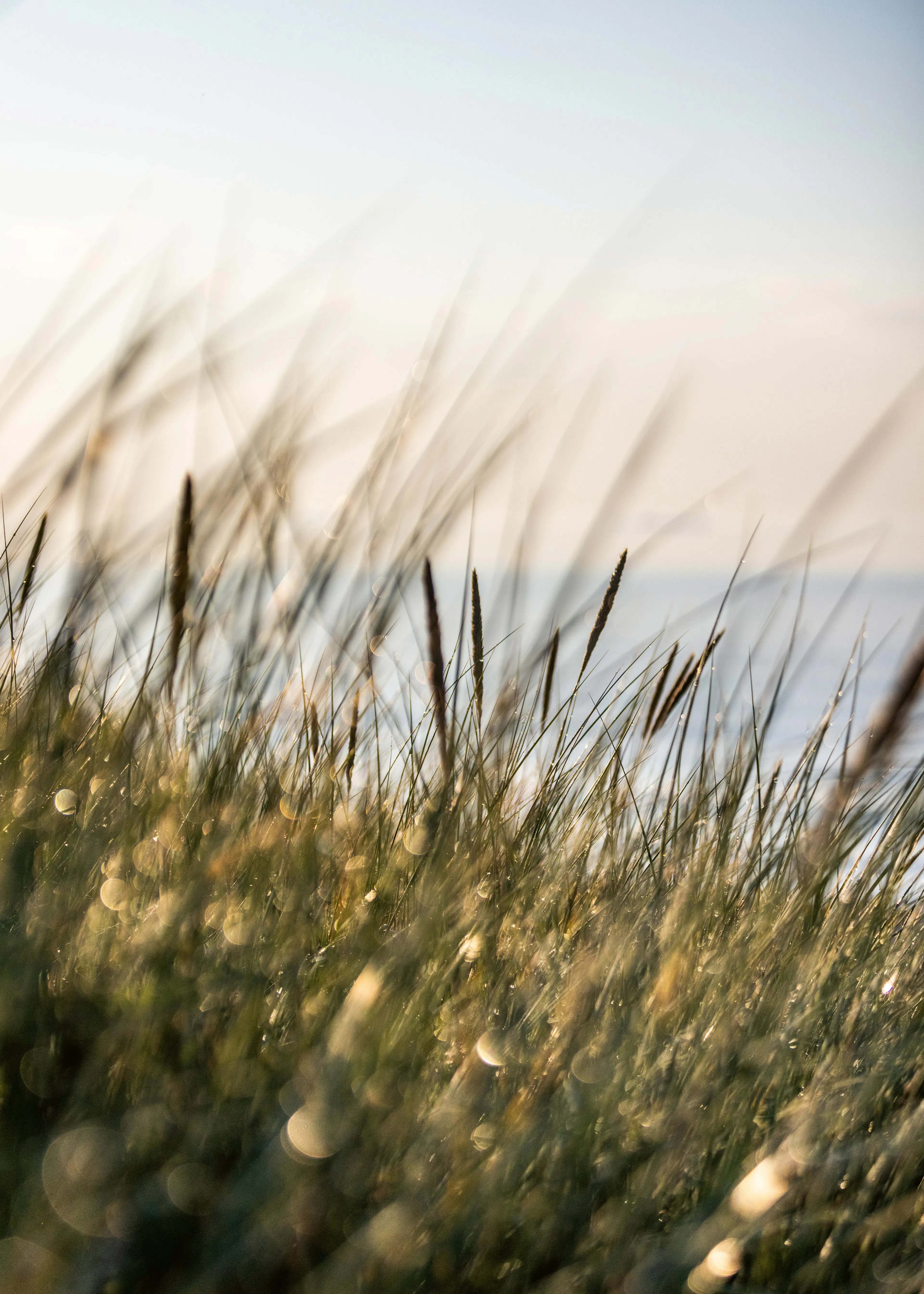 Beige Rustige Kust Poster 0