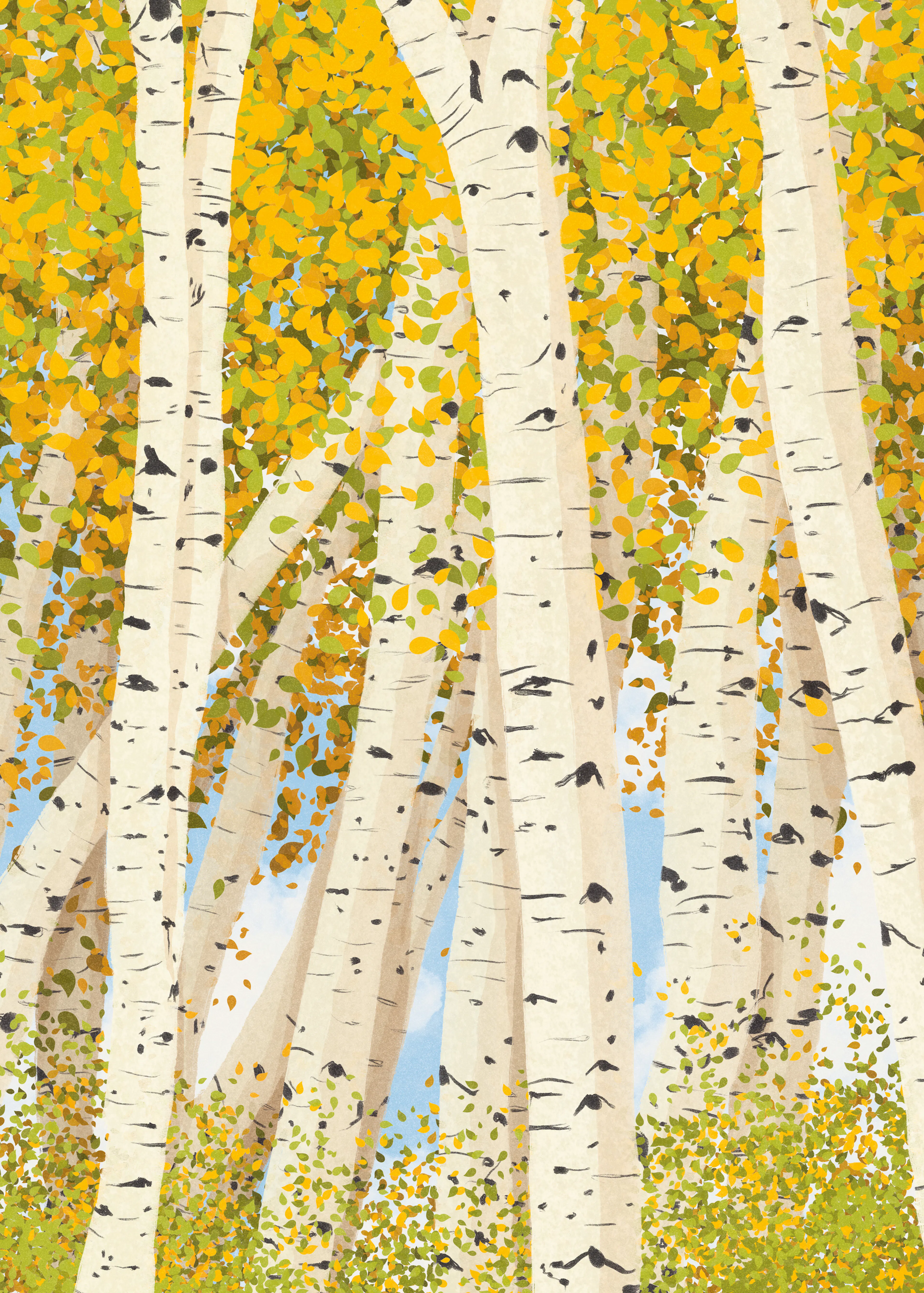 Golden Birch Poster 0