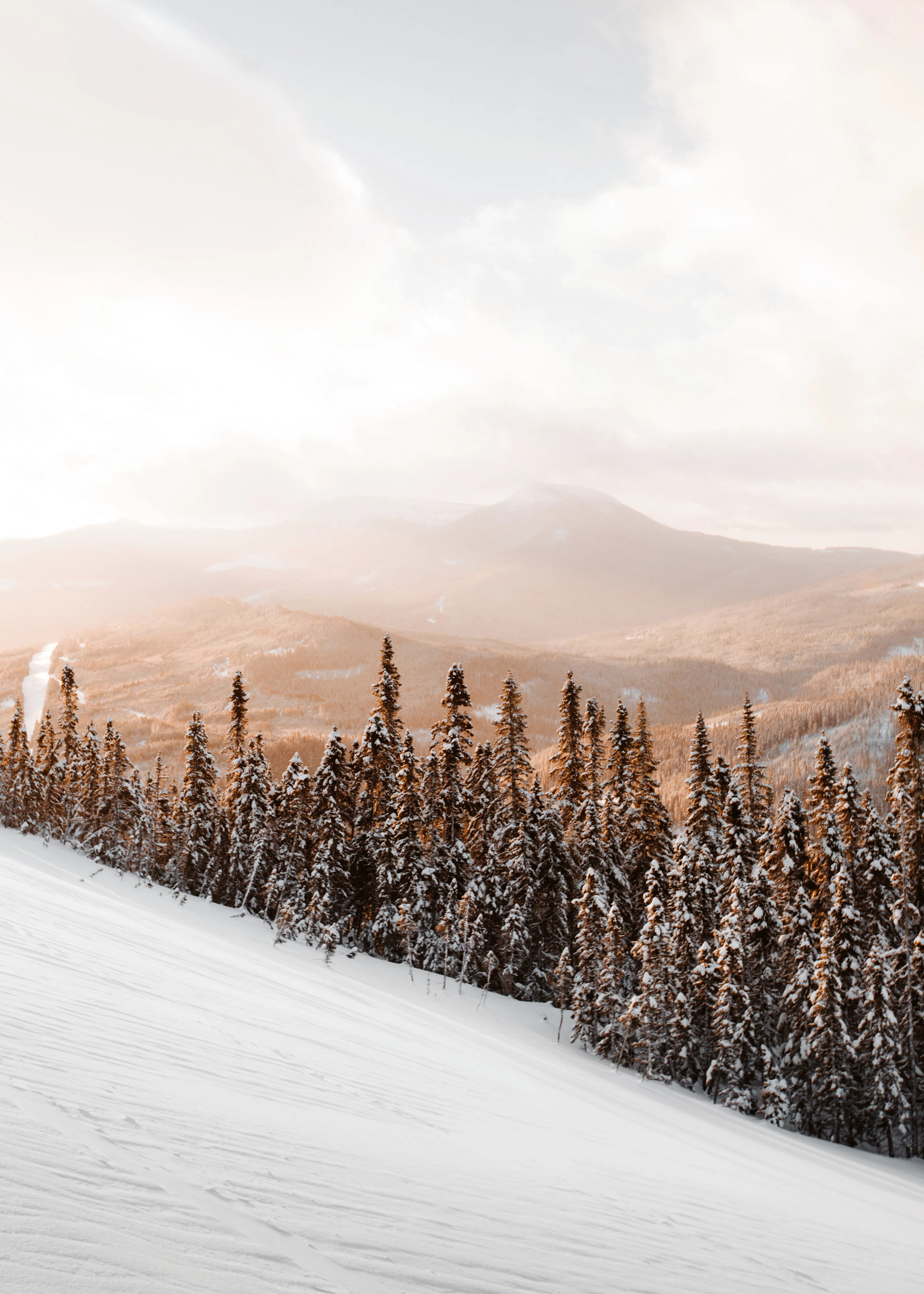 Beige Winter Serenity Poster 0