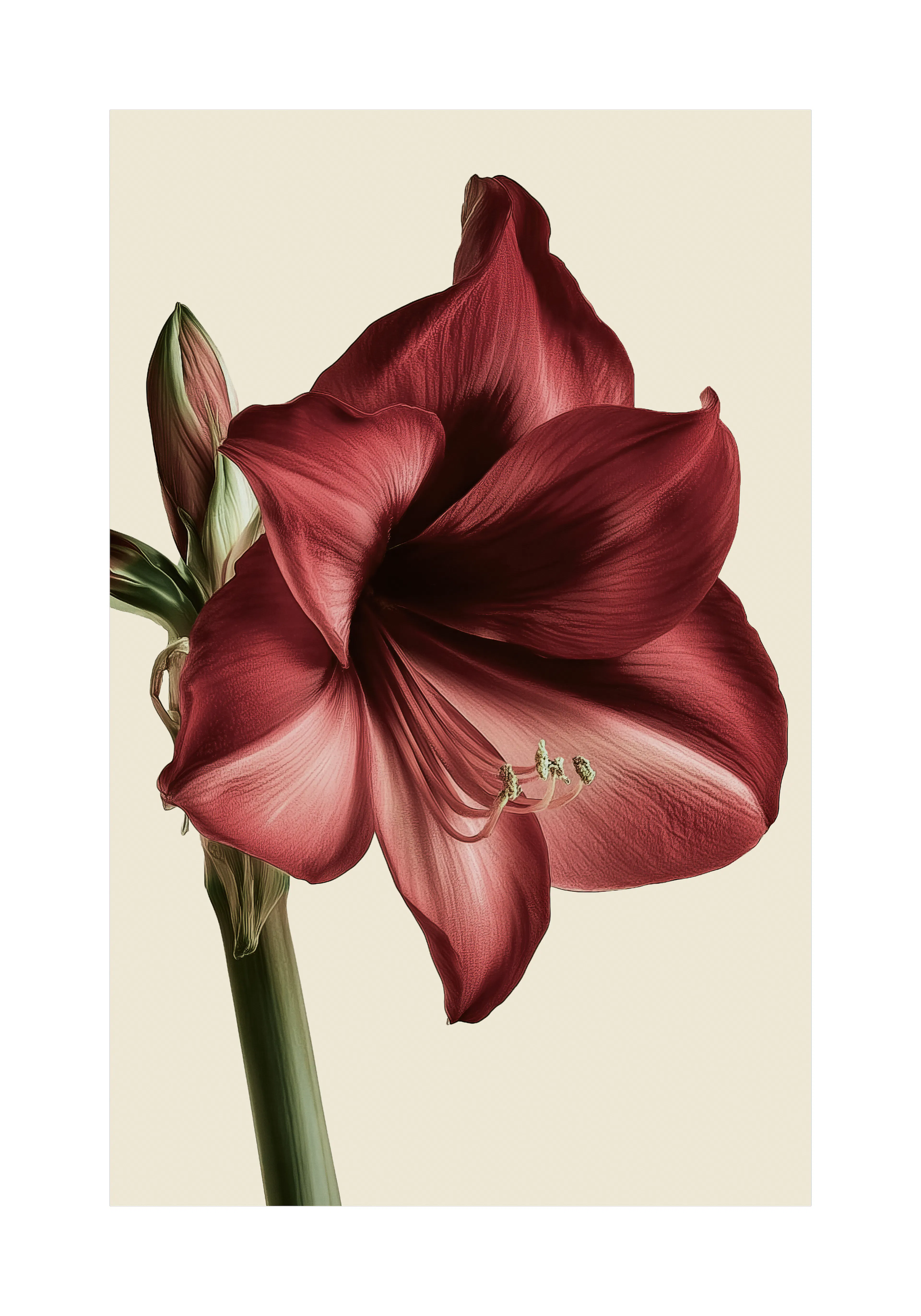 Product image: 1