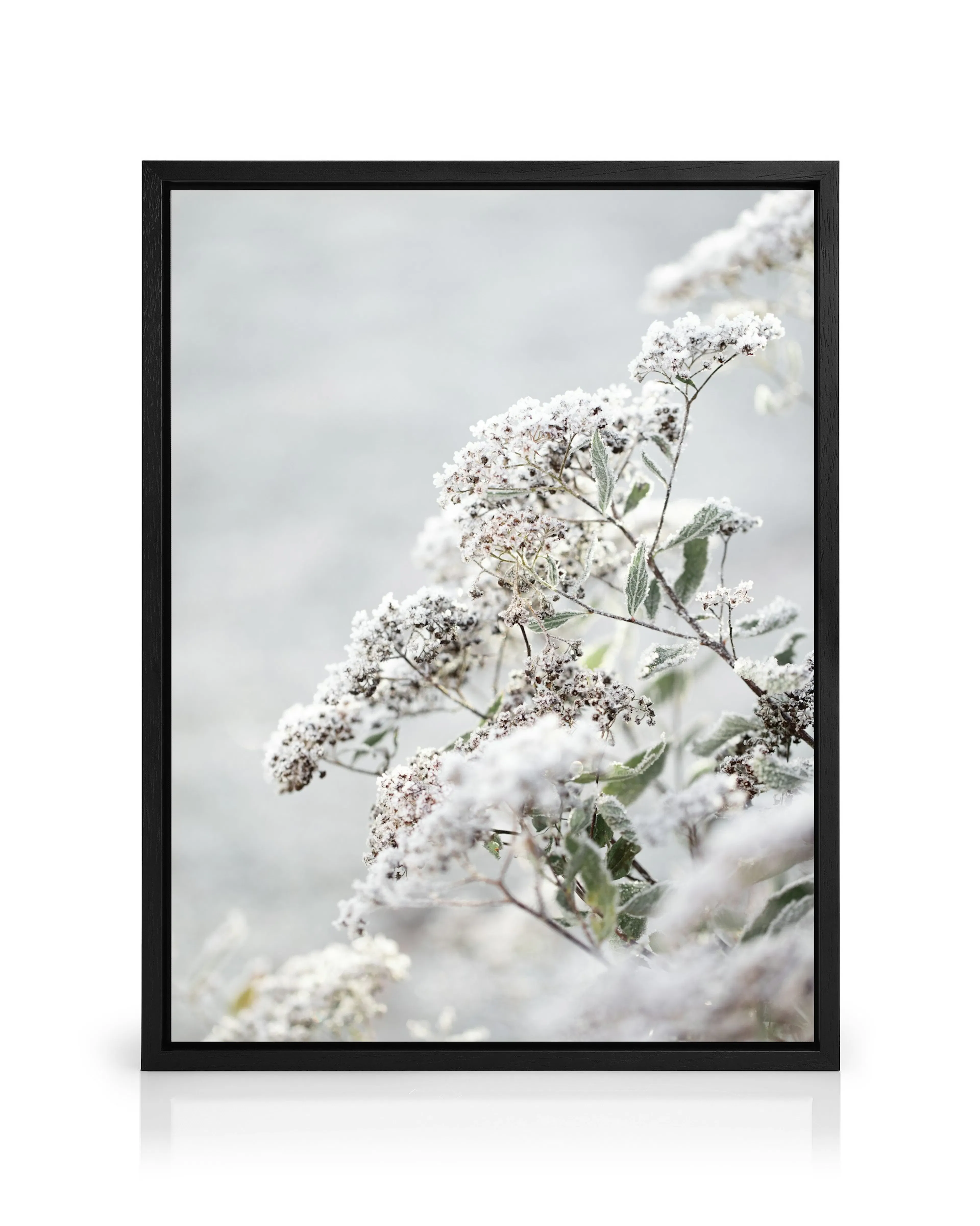 Product image: 1