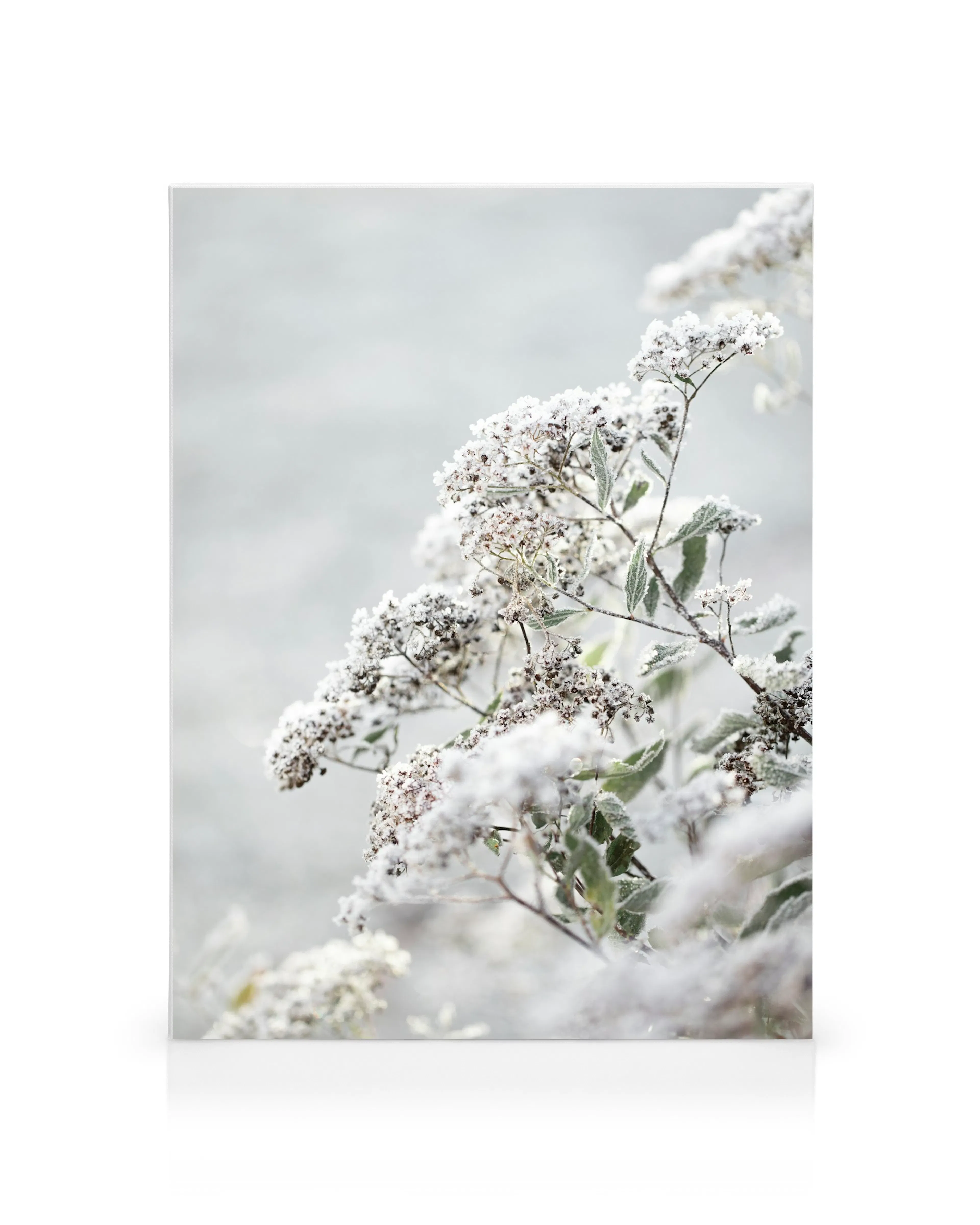 Product image: 1