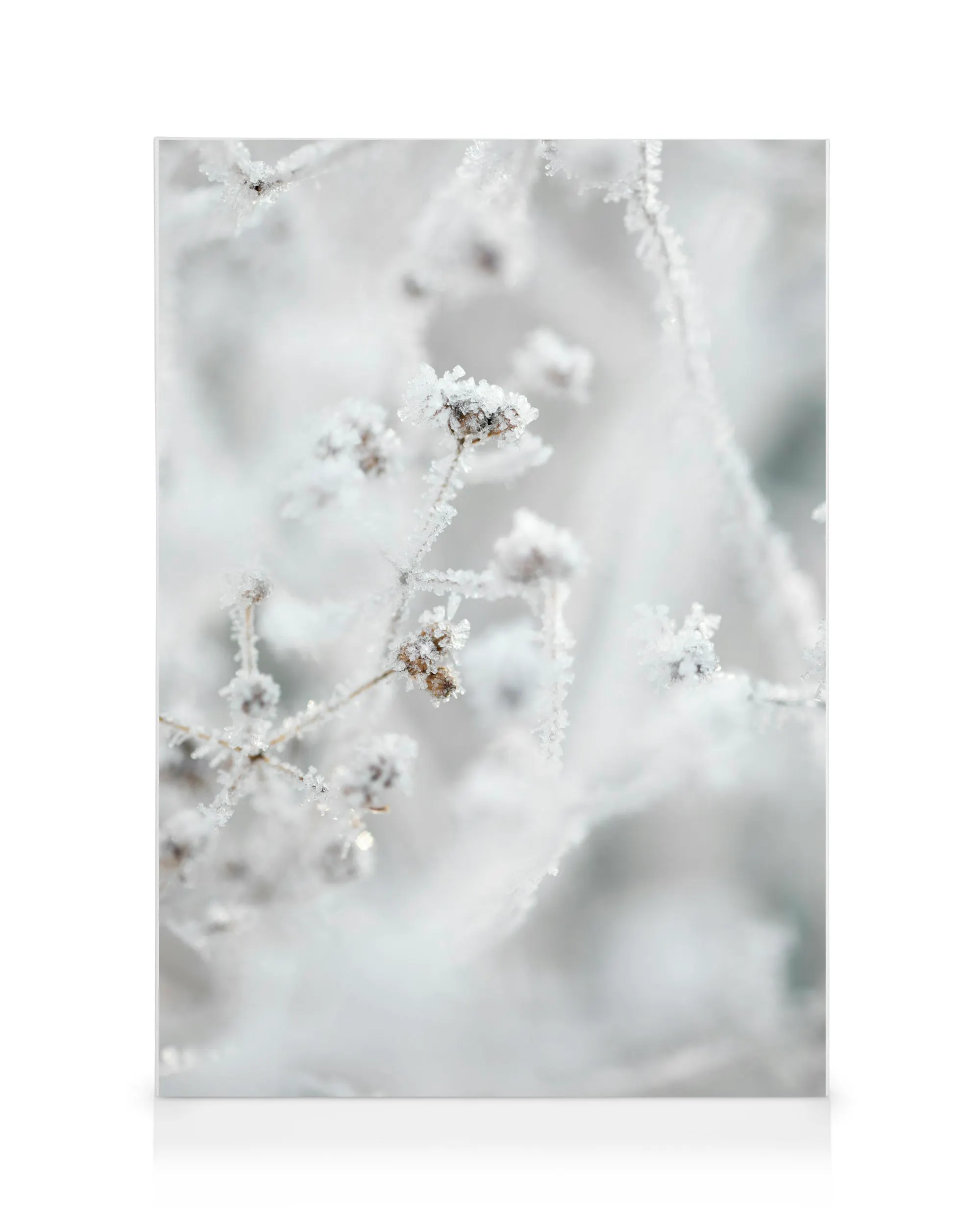 Frostige Stille Leinwandbild 0