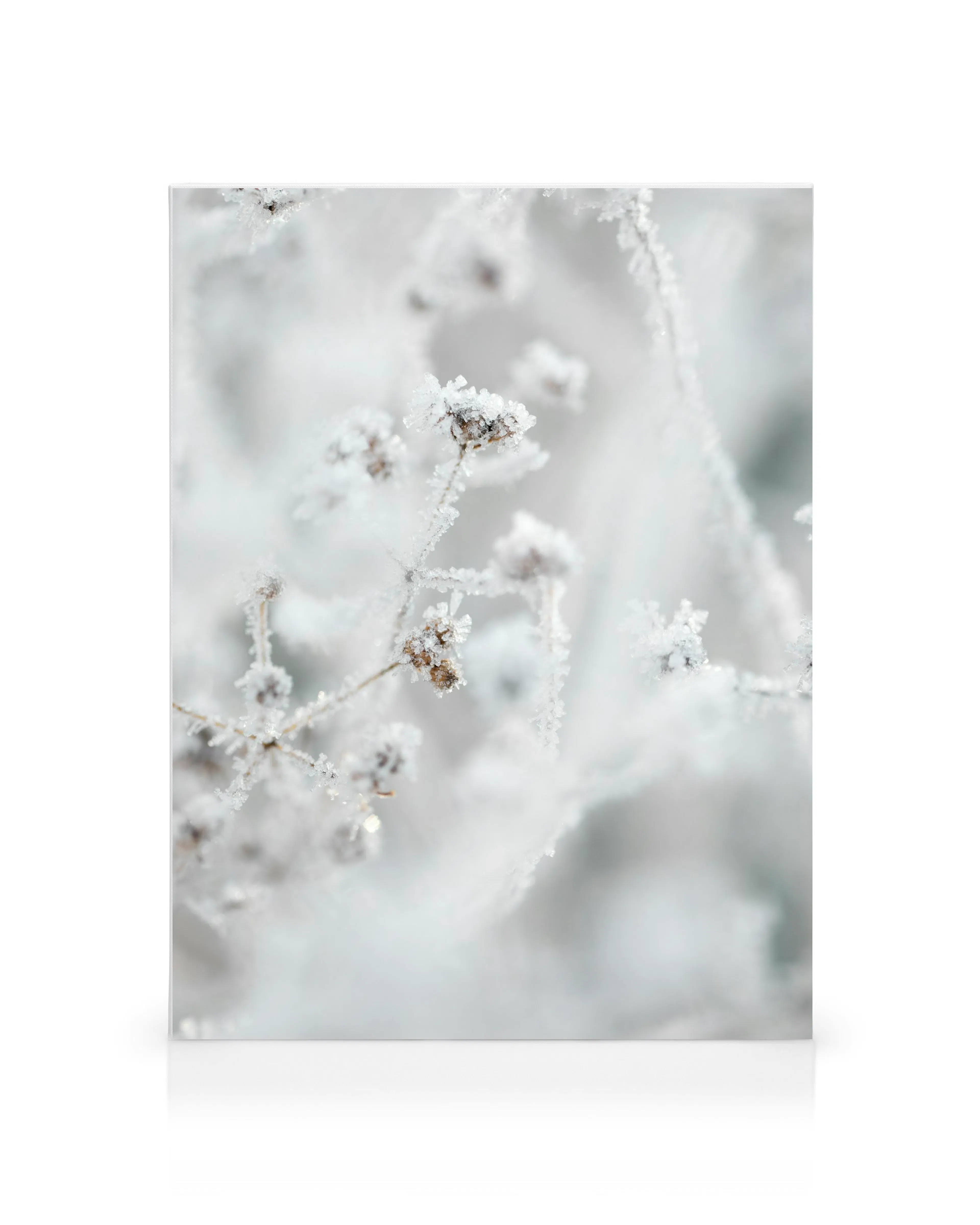 Product image: 1