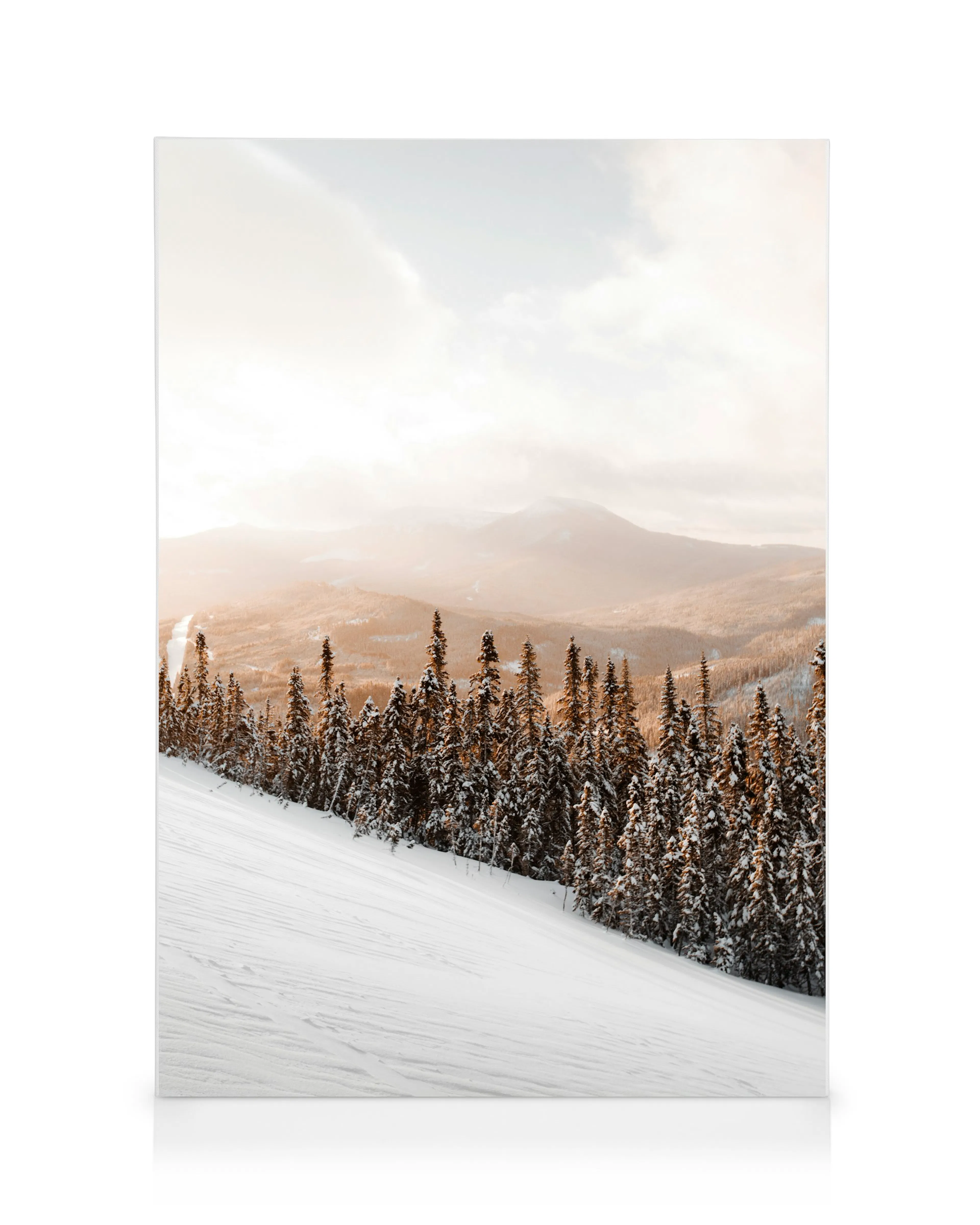 Beige Winterruhe Leinwandbild 0