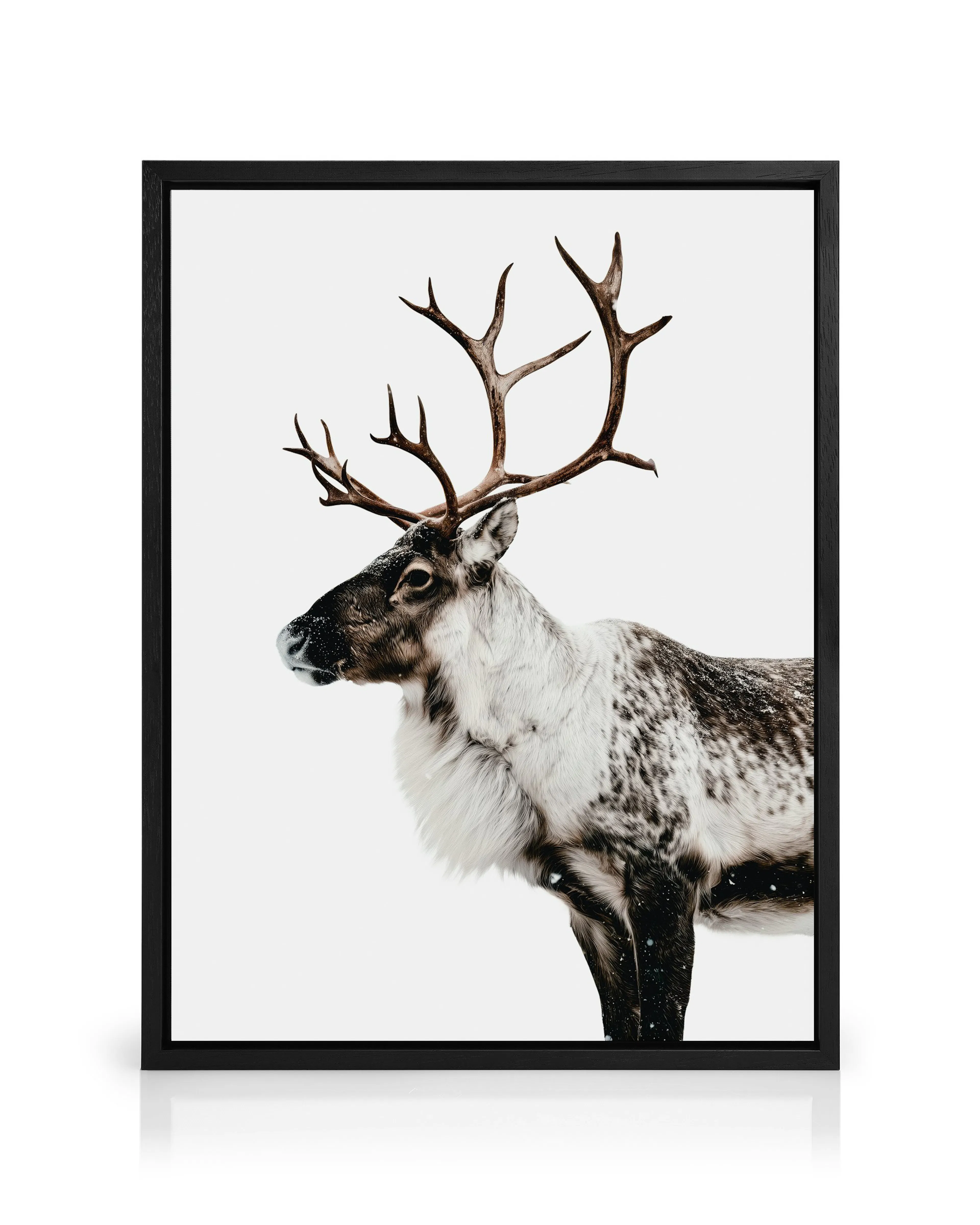 Product image: 1