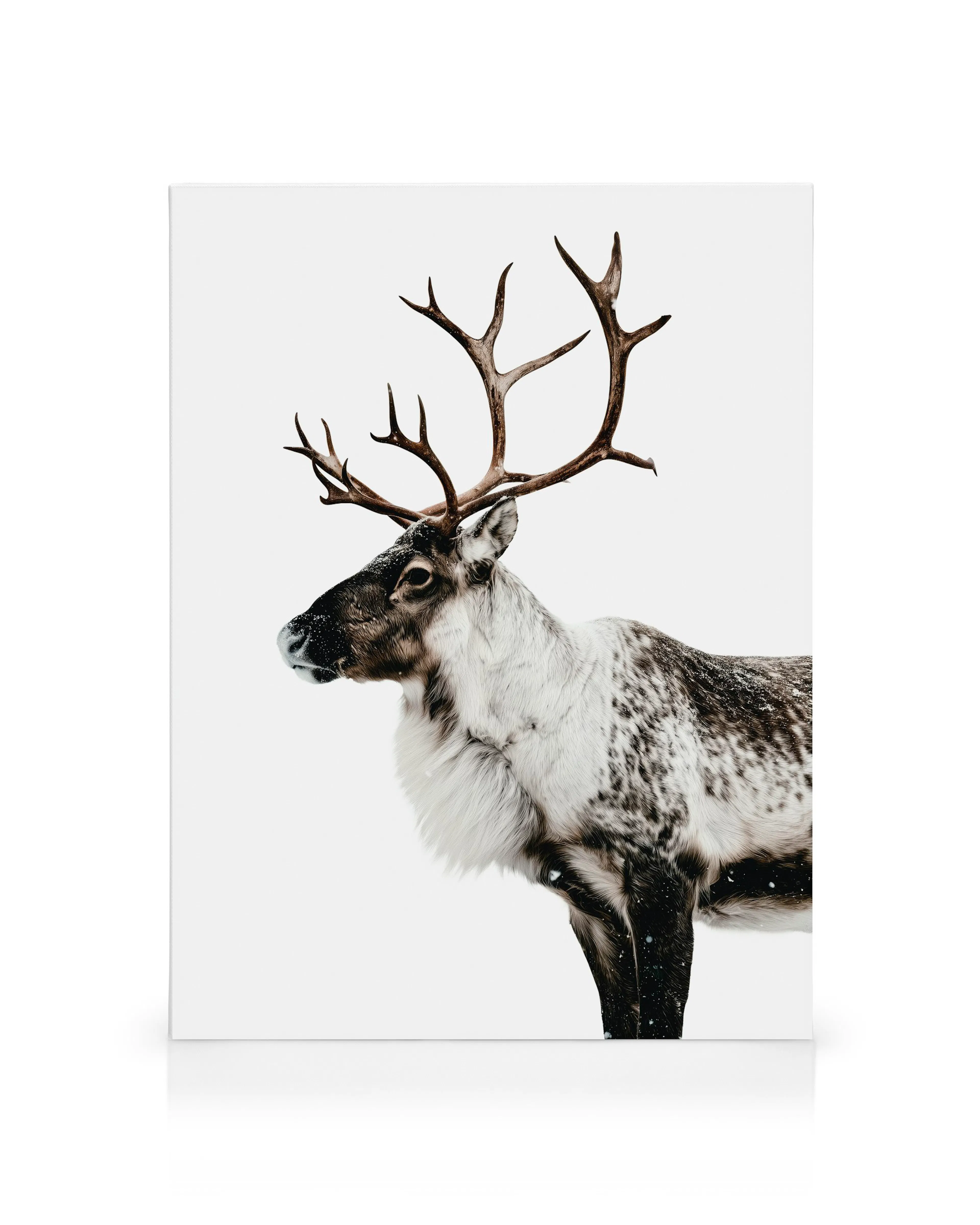Product image: 1