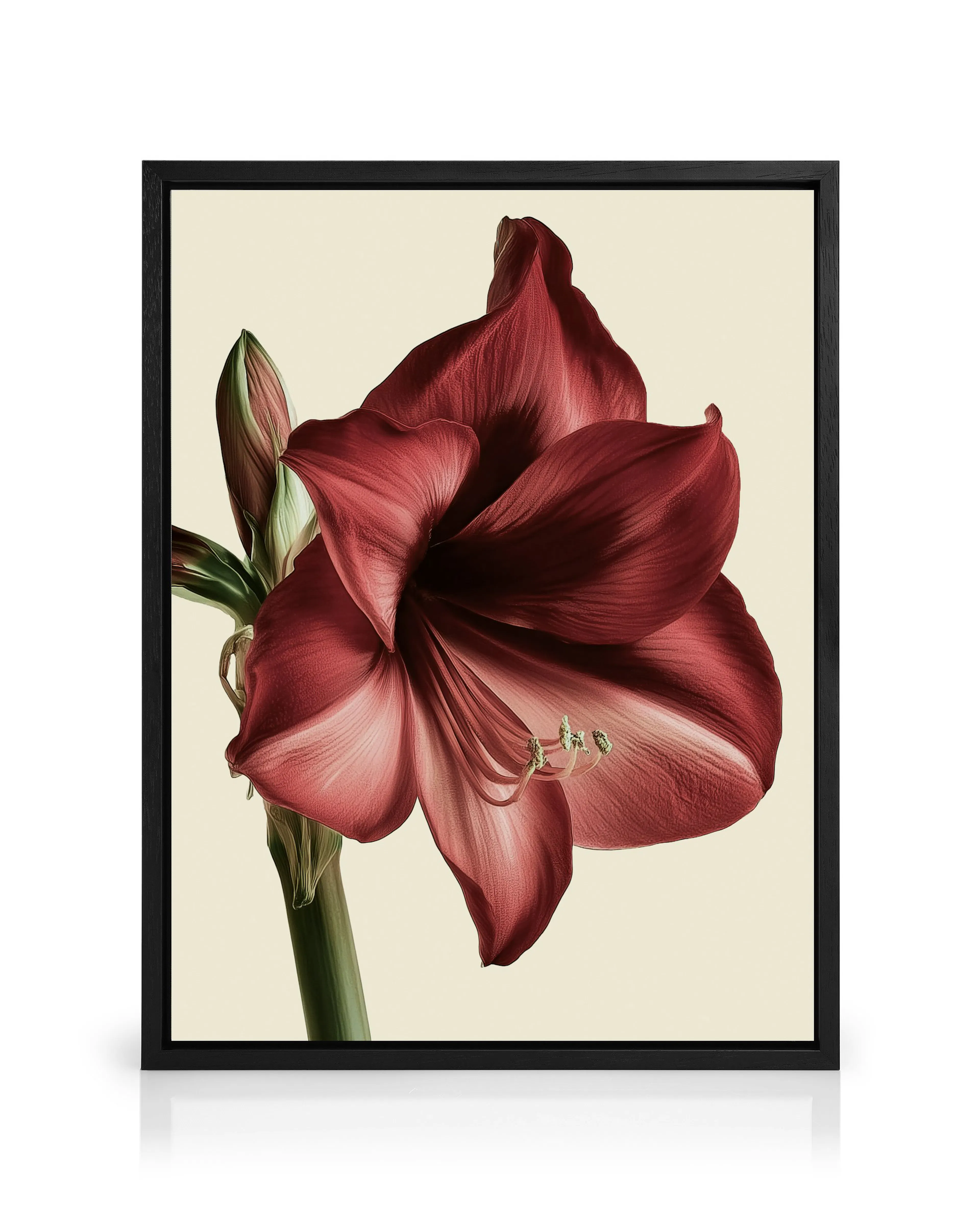 Product image: 1