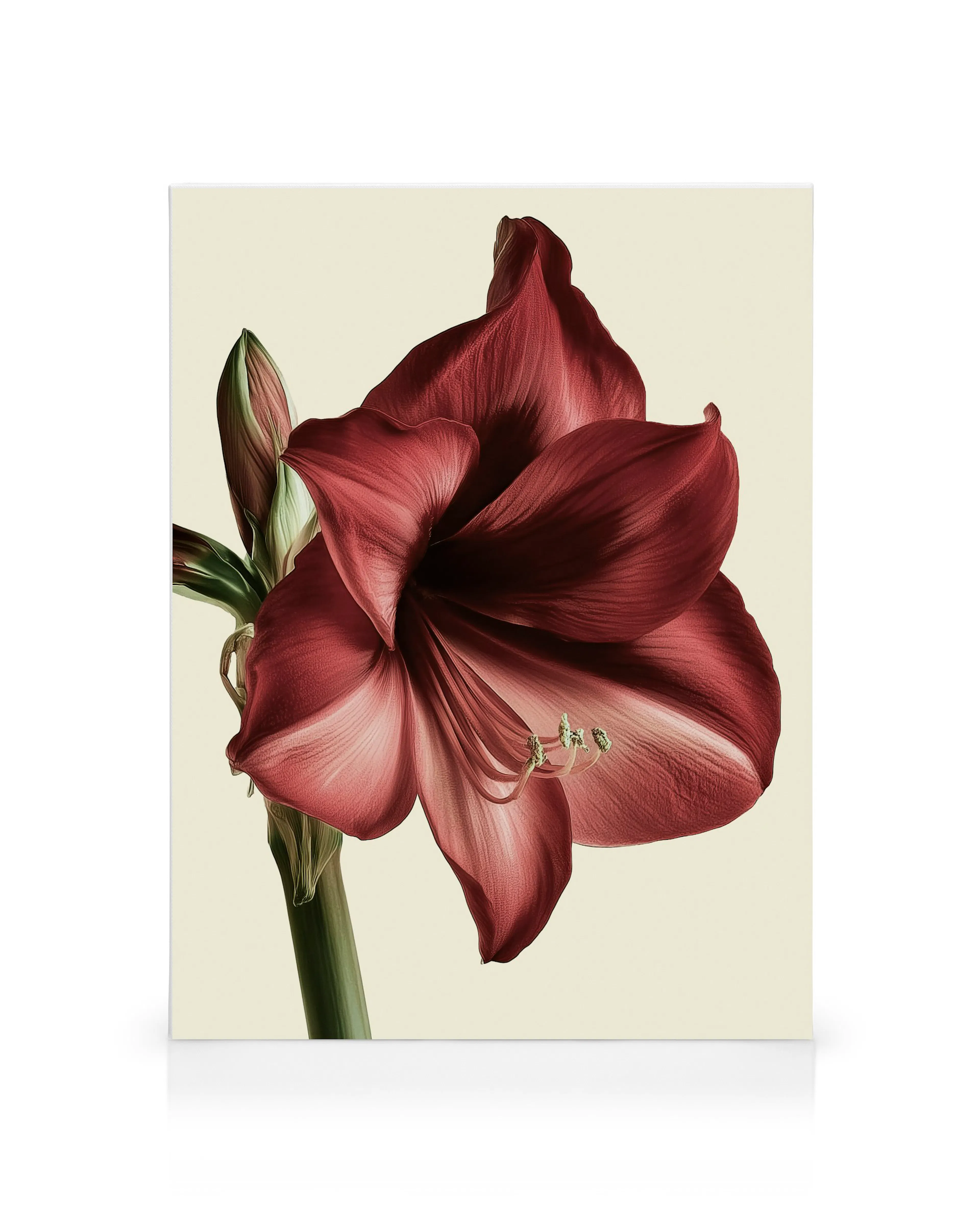 Product image: 1