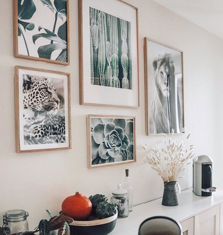 Bellissimi poster botanici e di animali con cornici in rovere