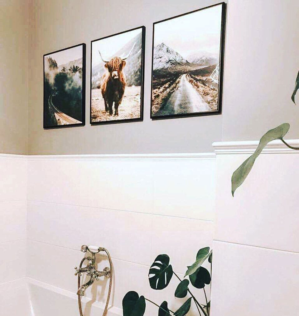 Bellissimi poster di natura e Highland Cow con cornici in metallo nero
