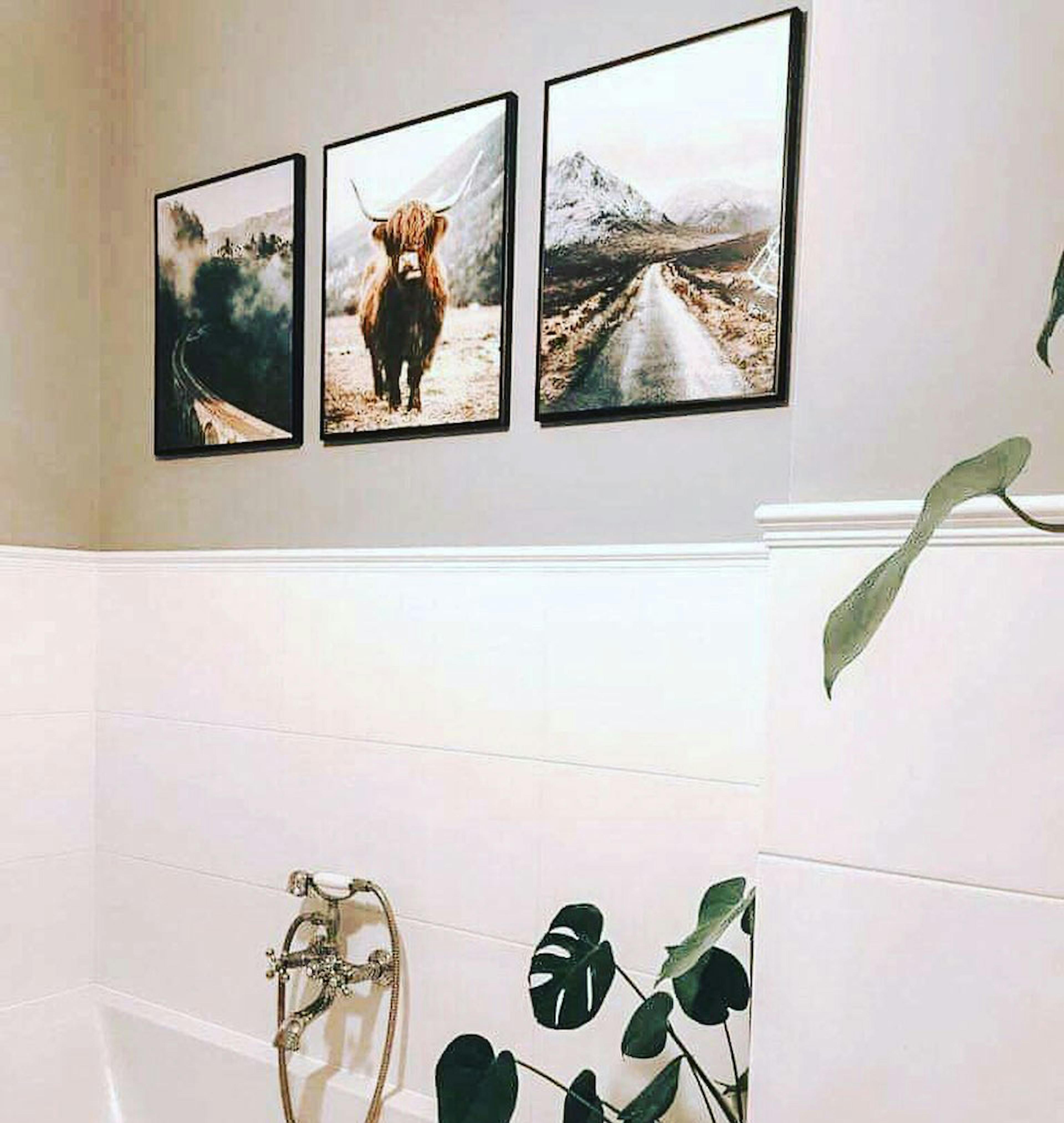 Stunning nature posters Highland Cow print black metal frames